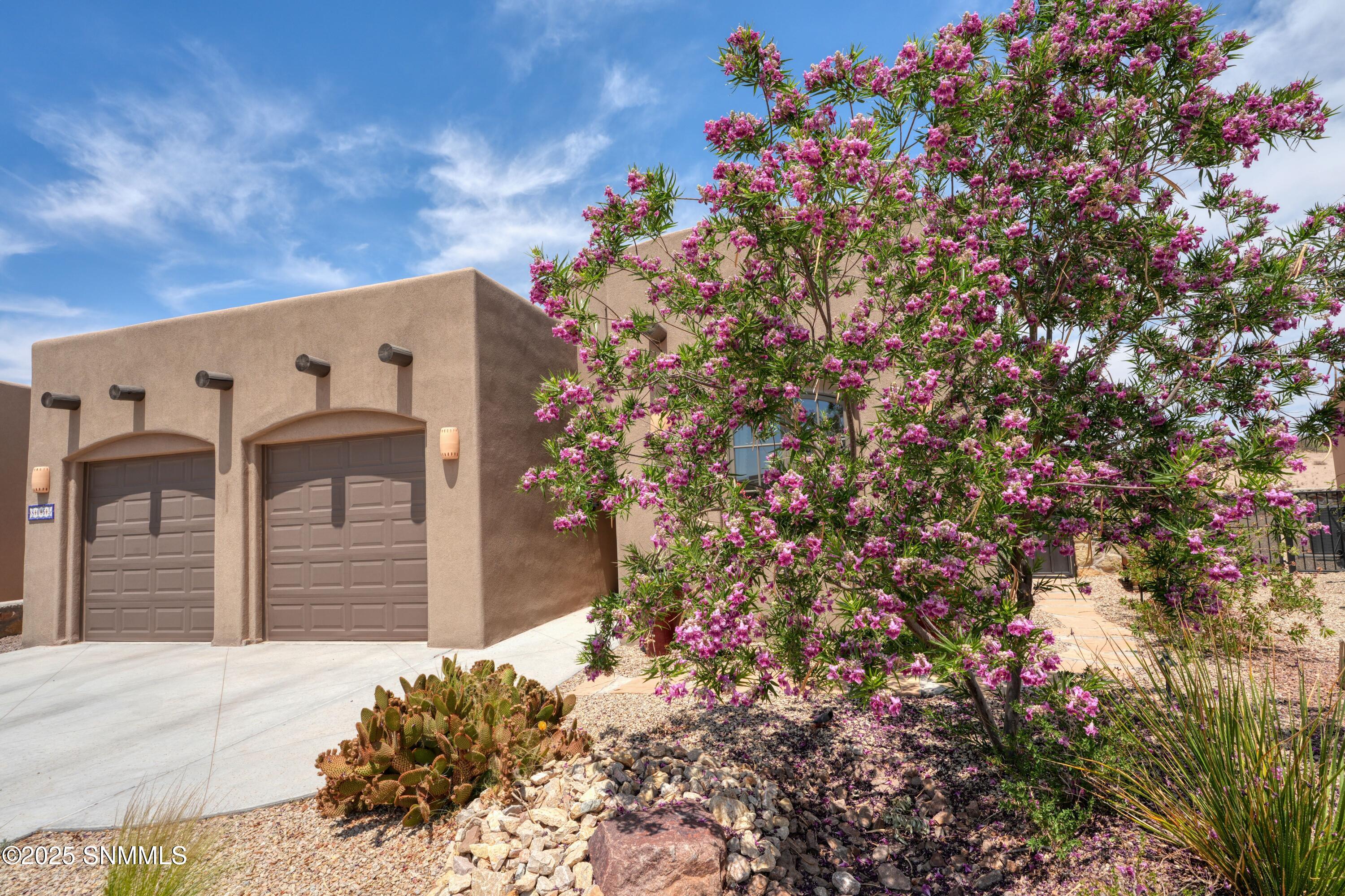 8065 Willow Bloom Circle Property Photo 3