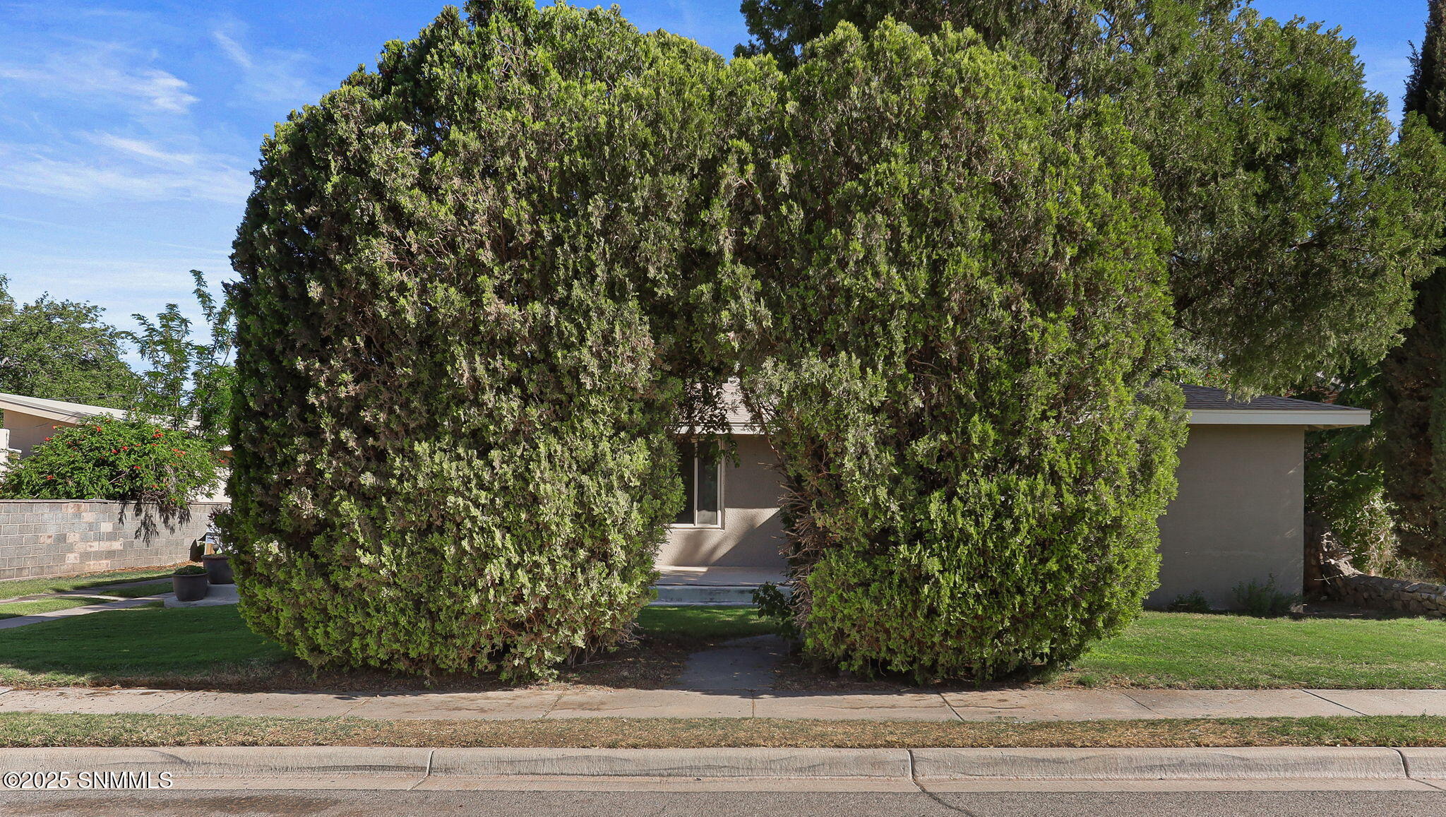 341 Linda Vista Road Property Photo 46