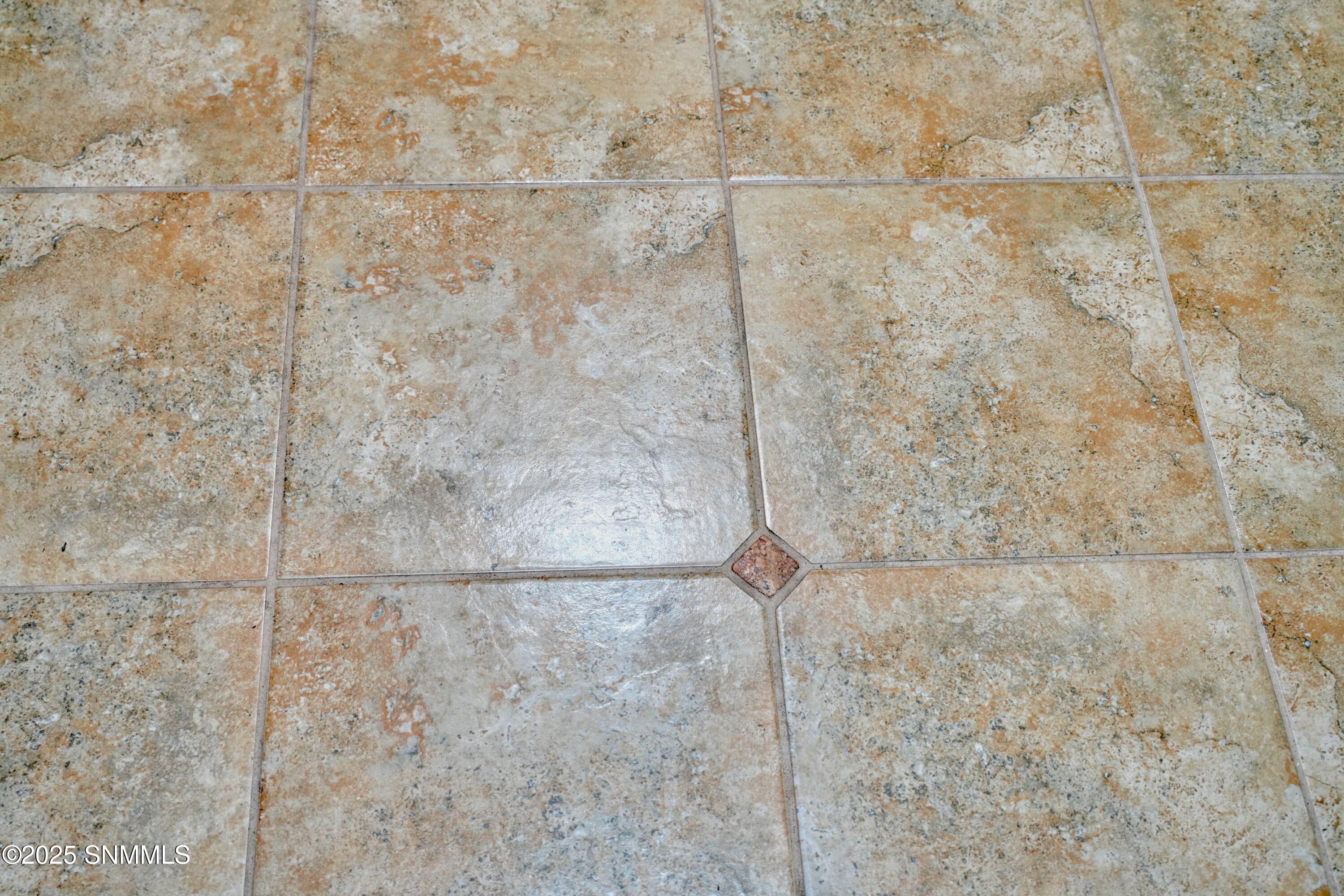 4303 Amarilla Arc Property Photo 8