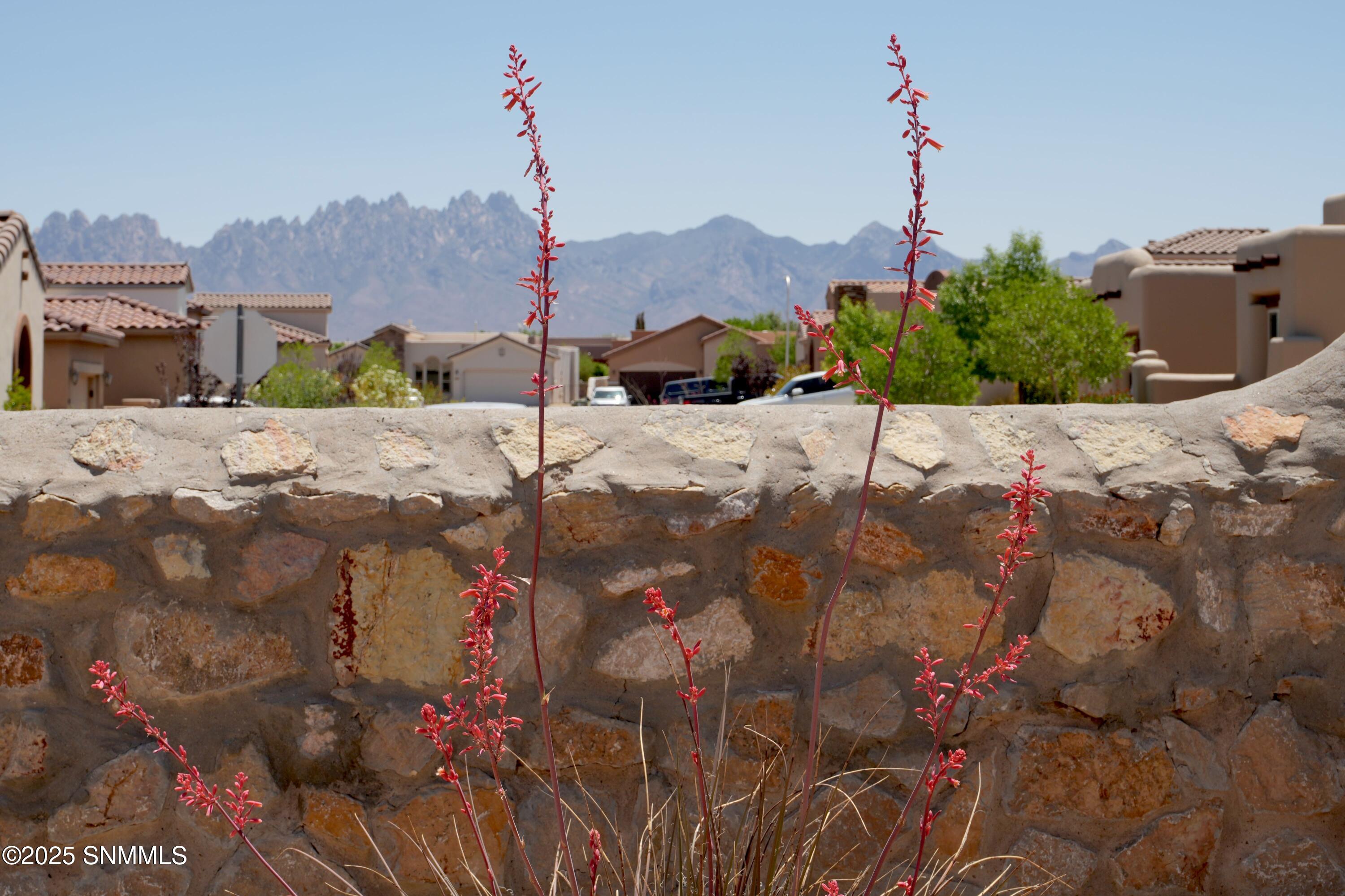 4303 Amarilla Arc Property Photo 31