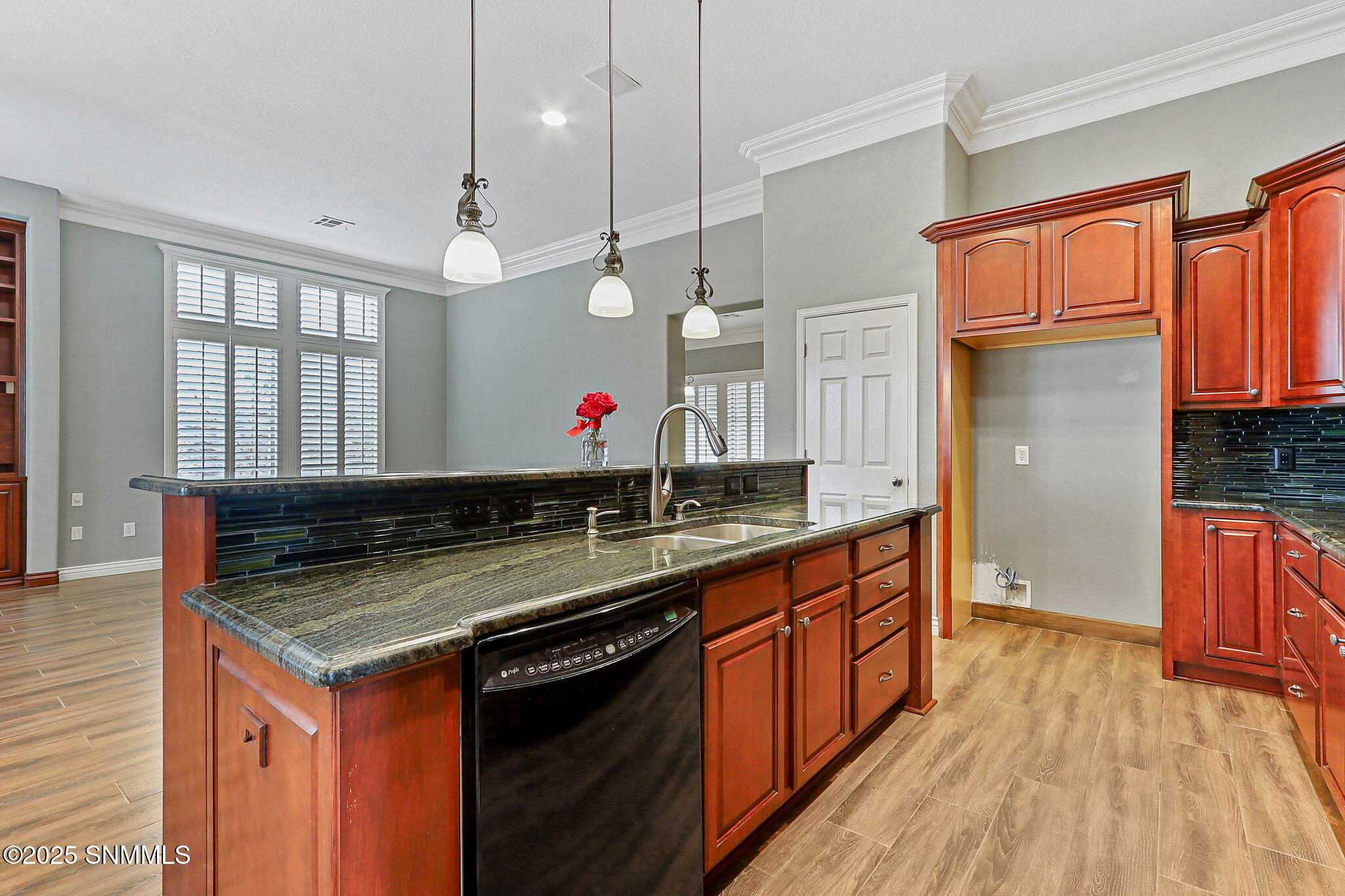 4203 Canterra Arc Property Photo 23