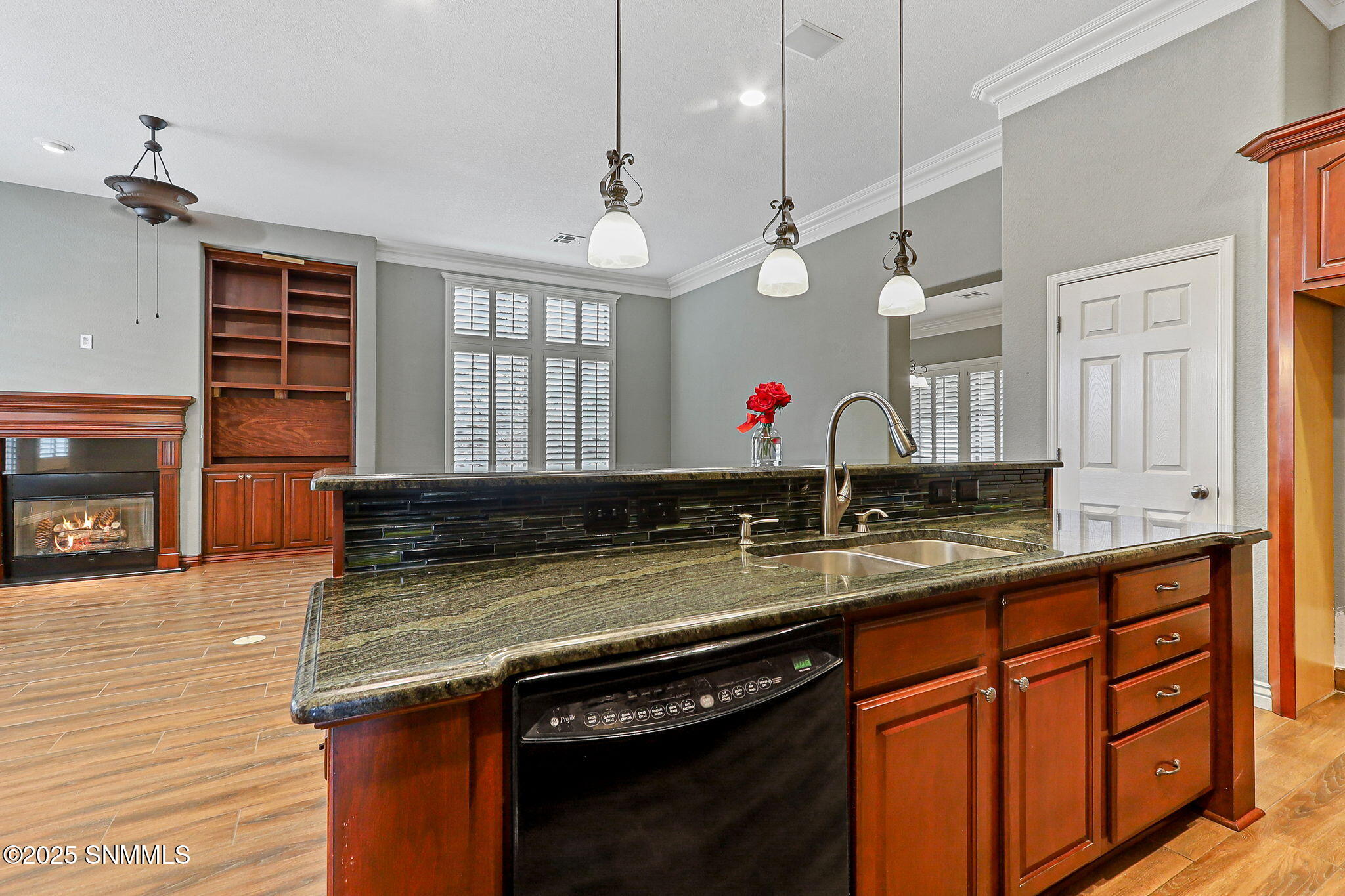 4203 Canterra Arc Property Photo 24