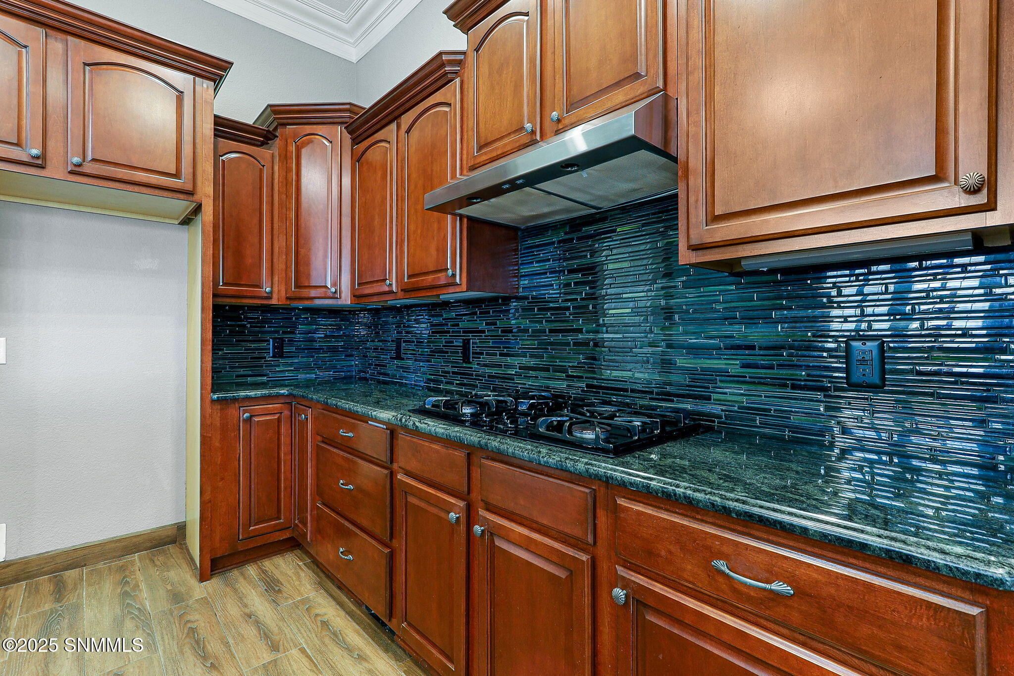4203 Canterra Arc Property Photo 25
