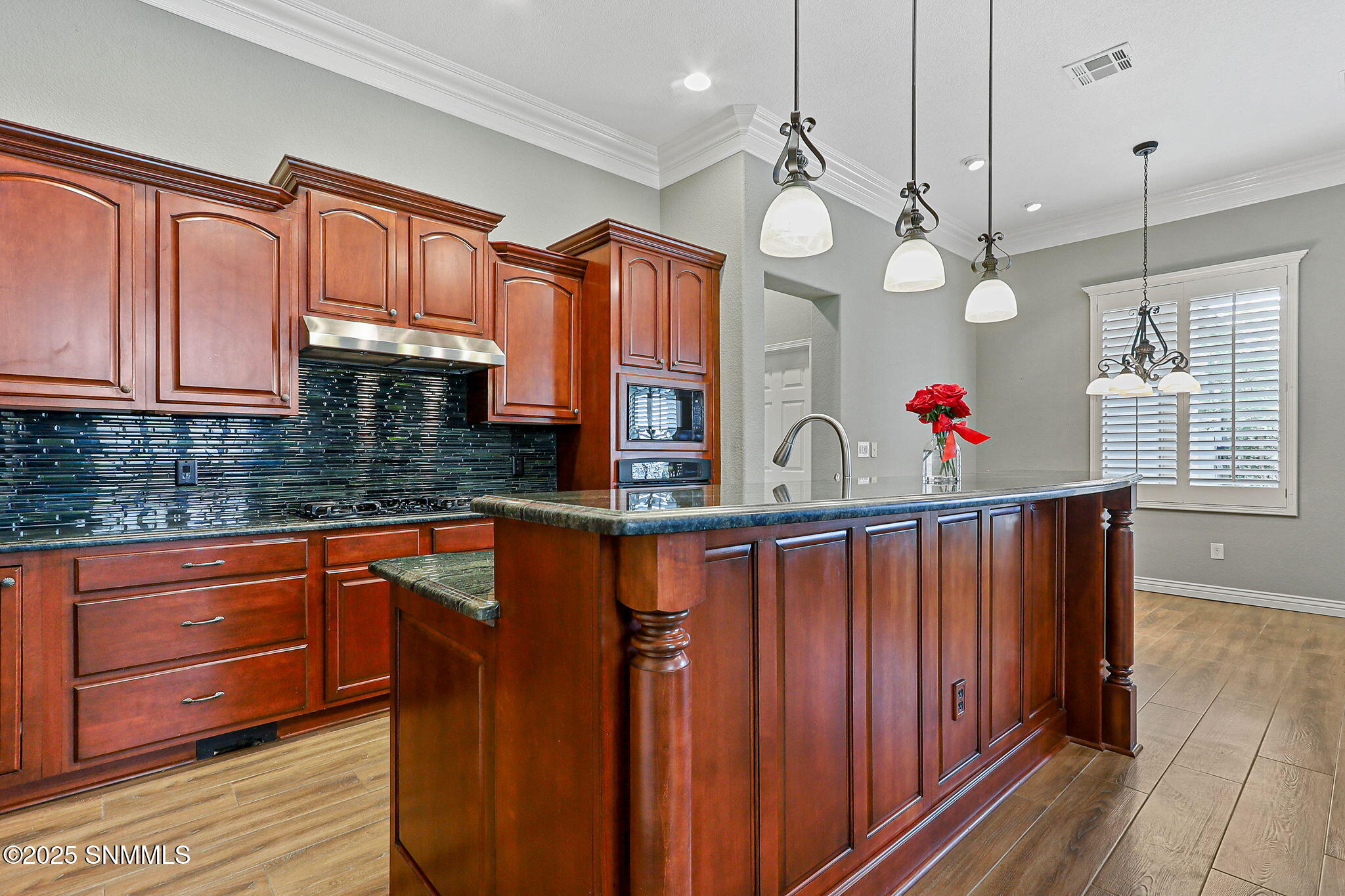 4203 Canterra Arc Property Photo 28