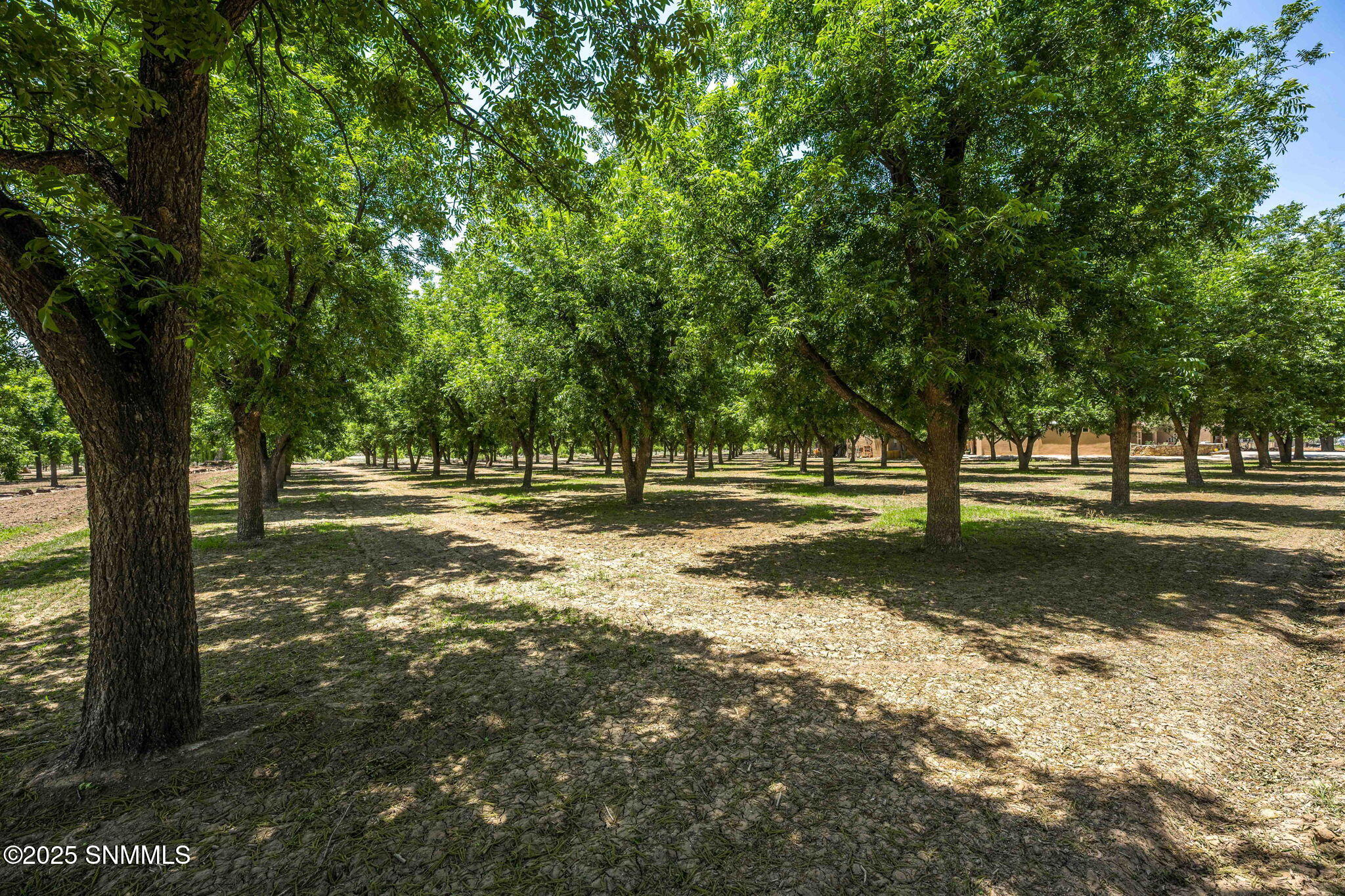 1810 S Fairacres Road Property Photo 44