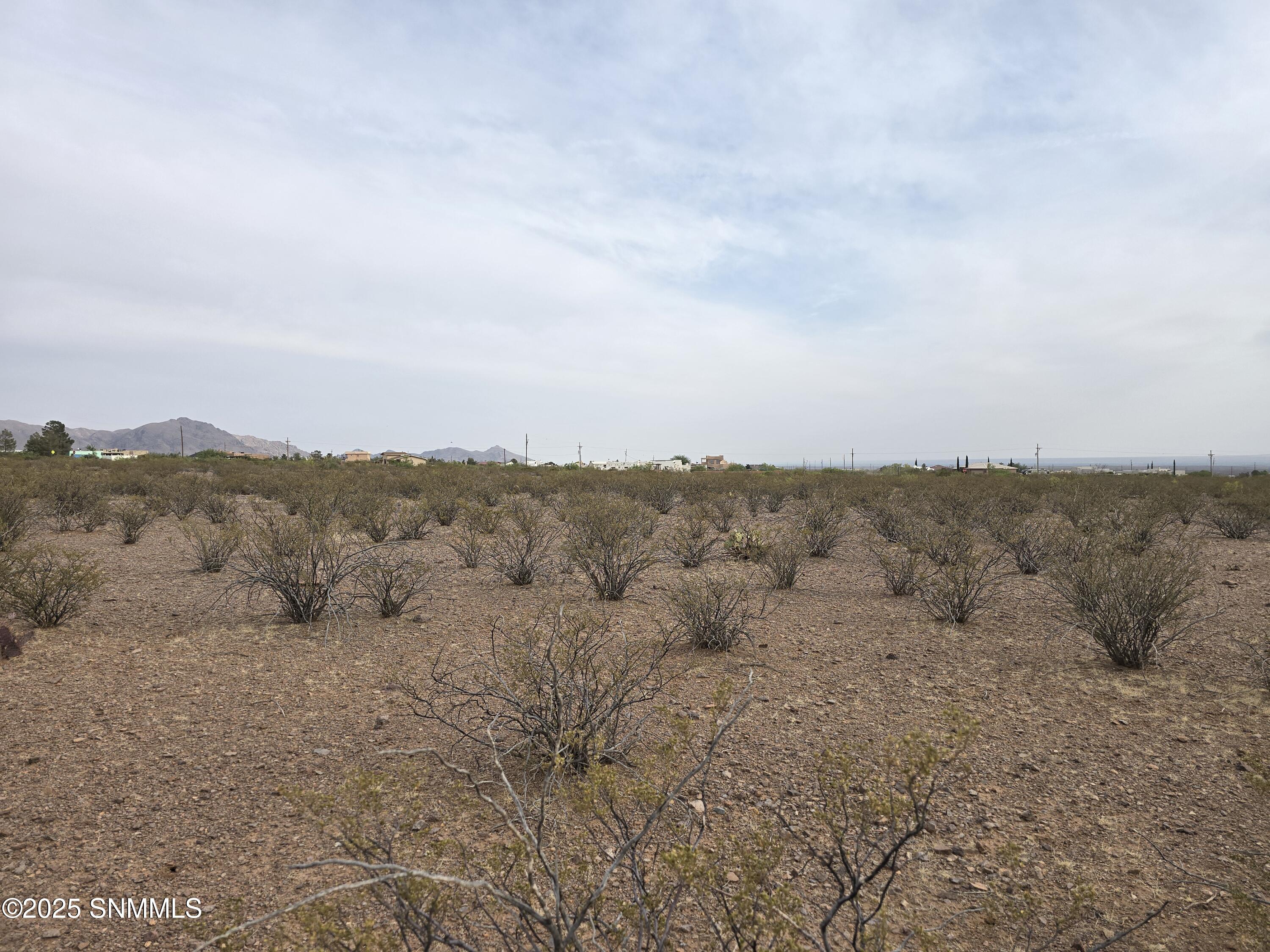 5051 Alamo Mine Trail Property Photo 4