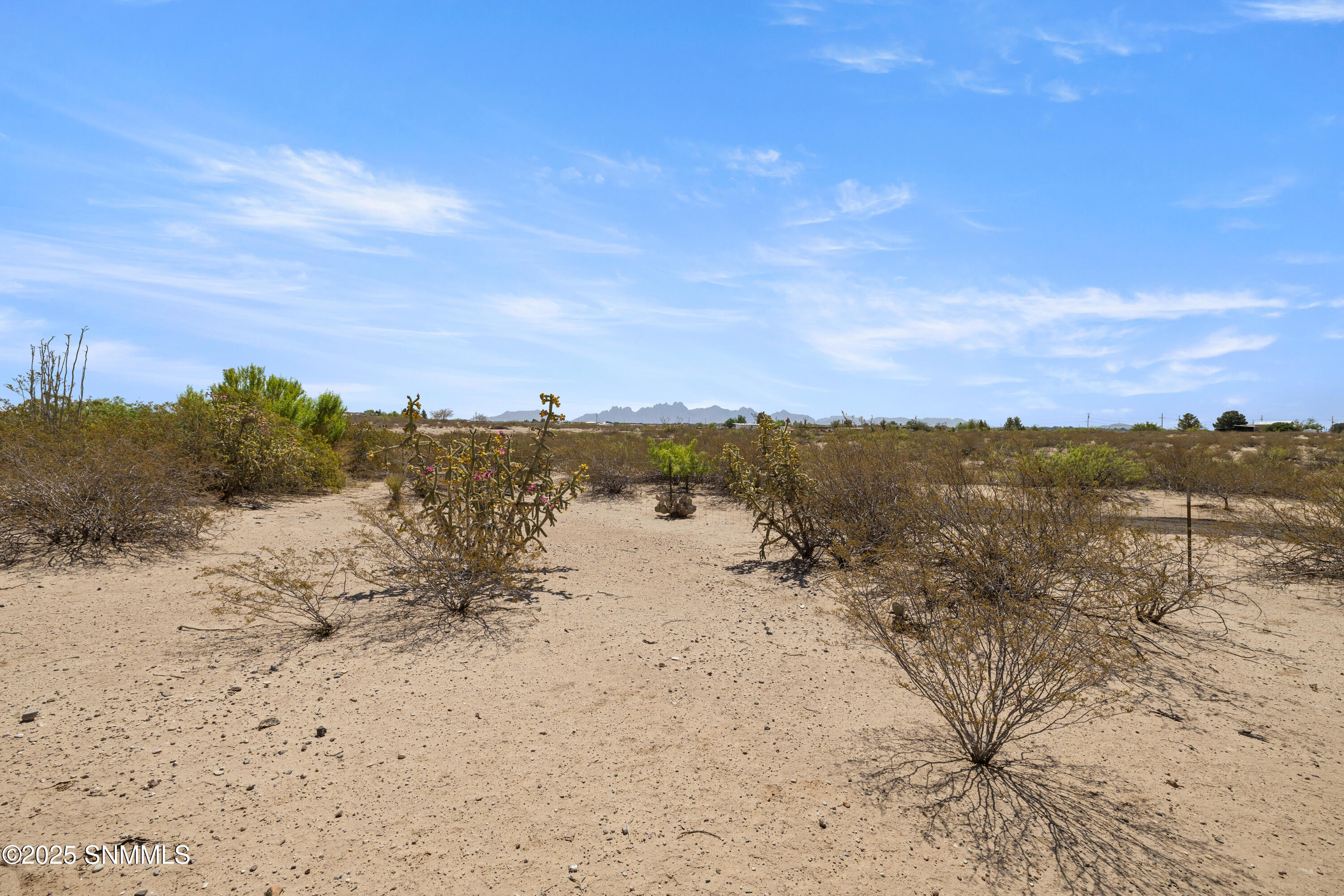 1581 Tecolote Trail Property Photo 77