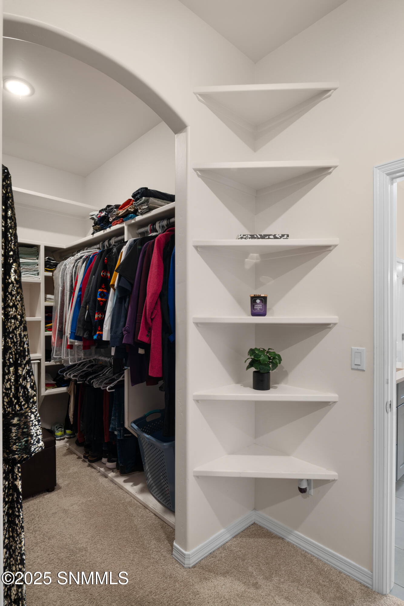 1125 Cactus Wren Court Property Photo 44