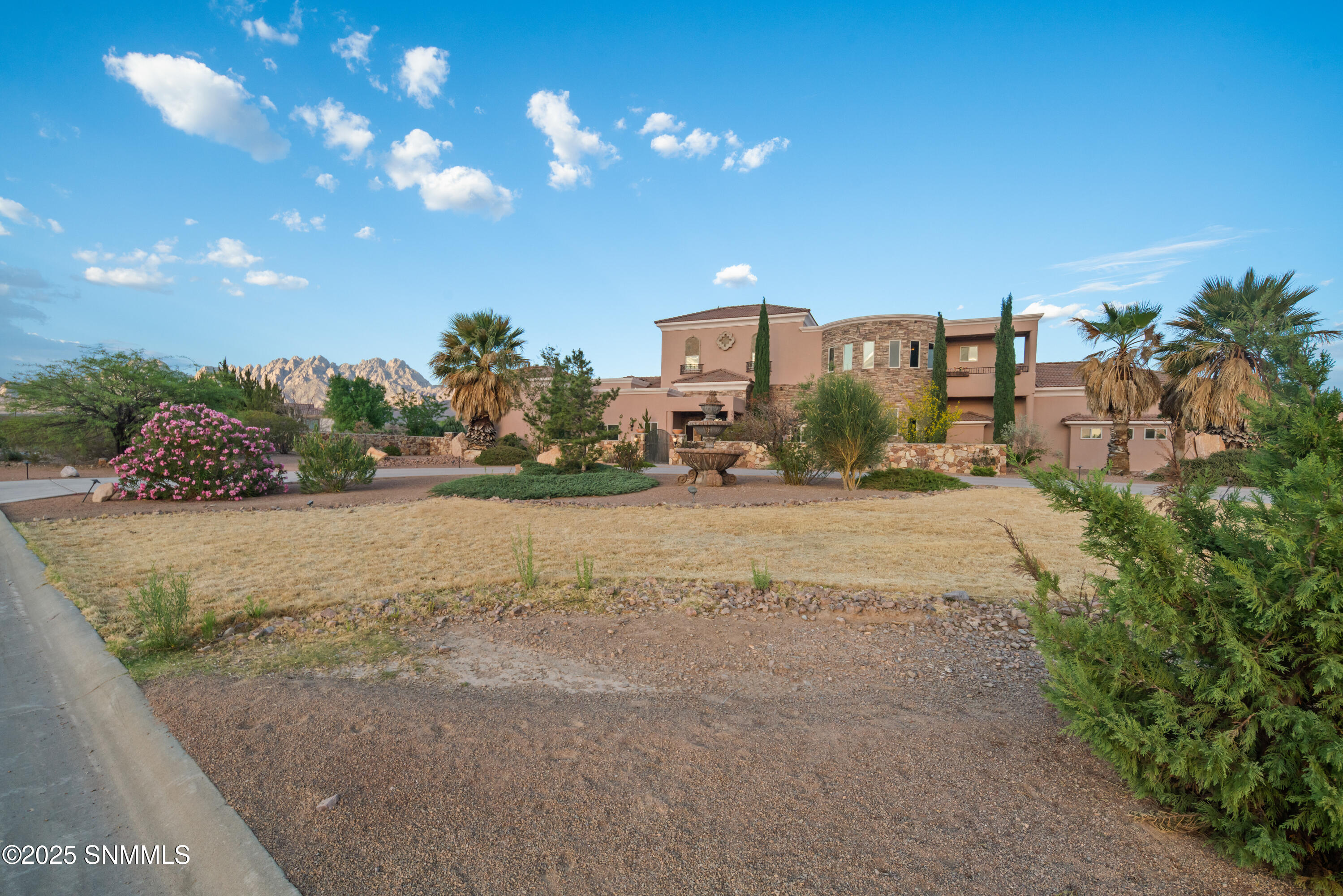 9770 Desert Mirage Drive Property Photo 6