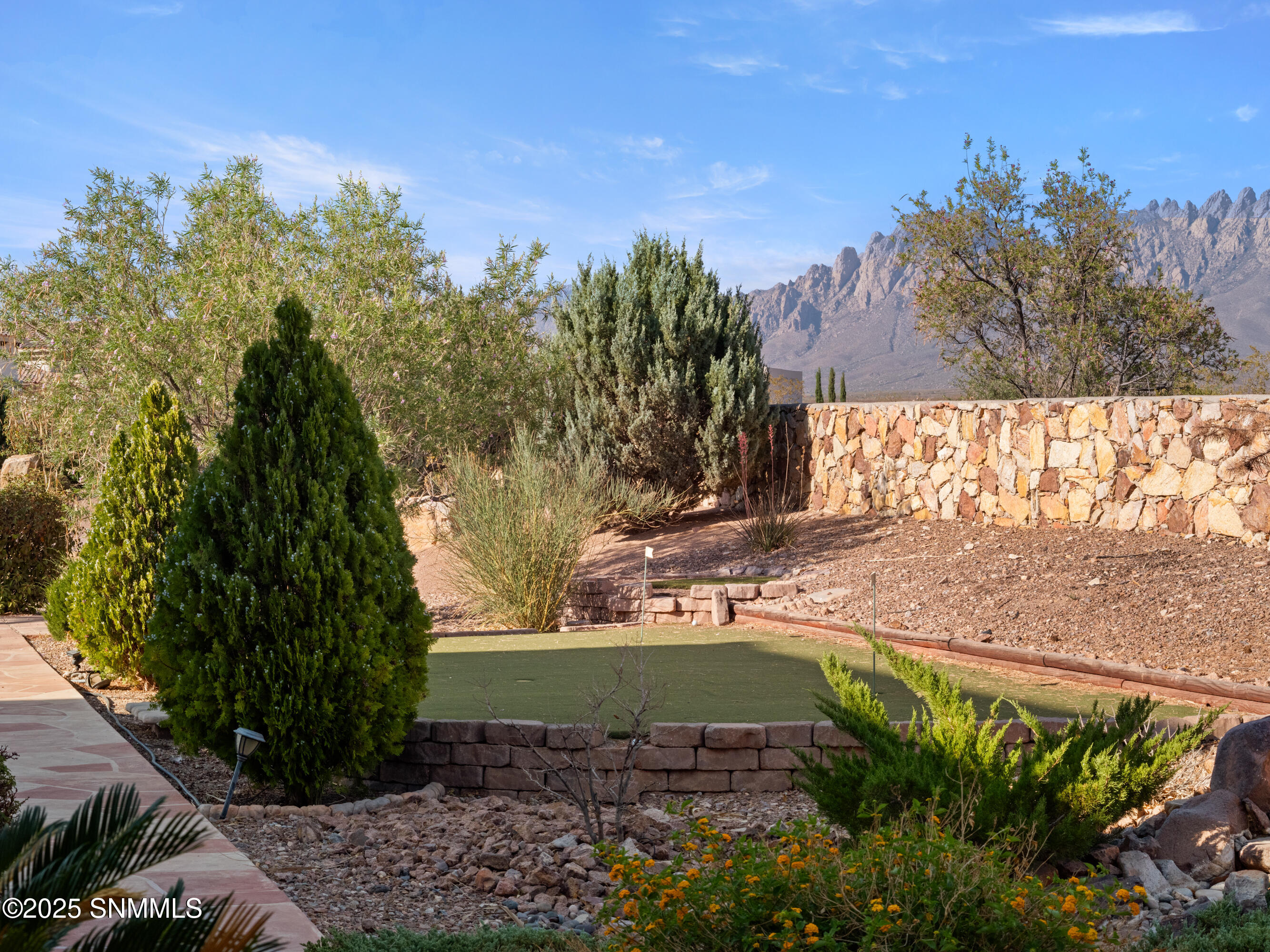 9770 Desert Mirage Drive Property Photo 73