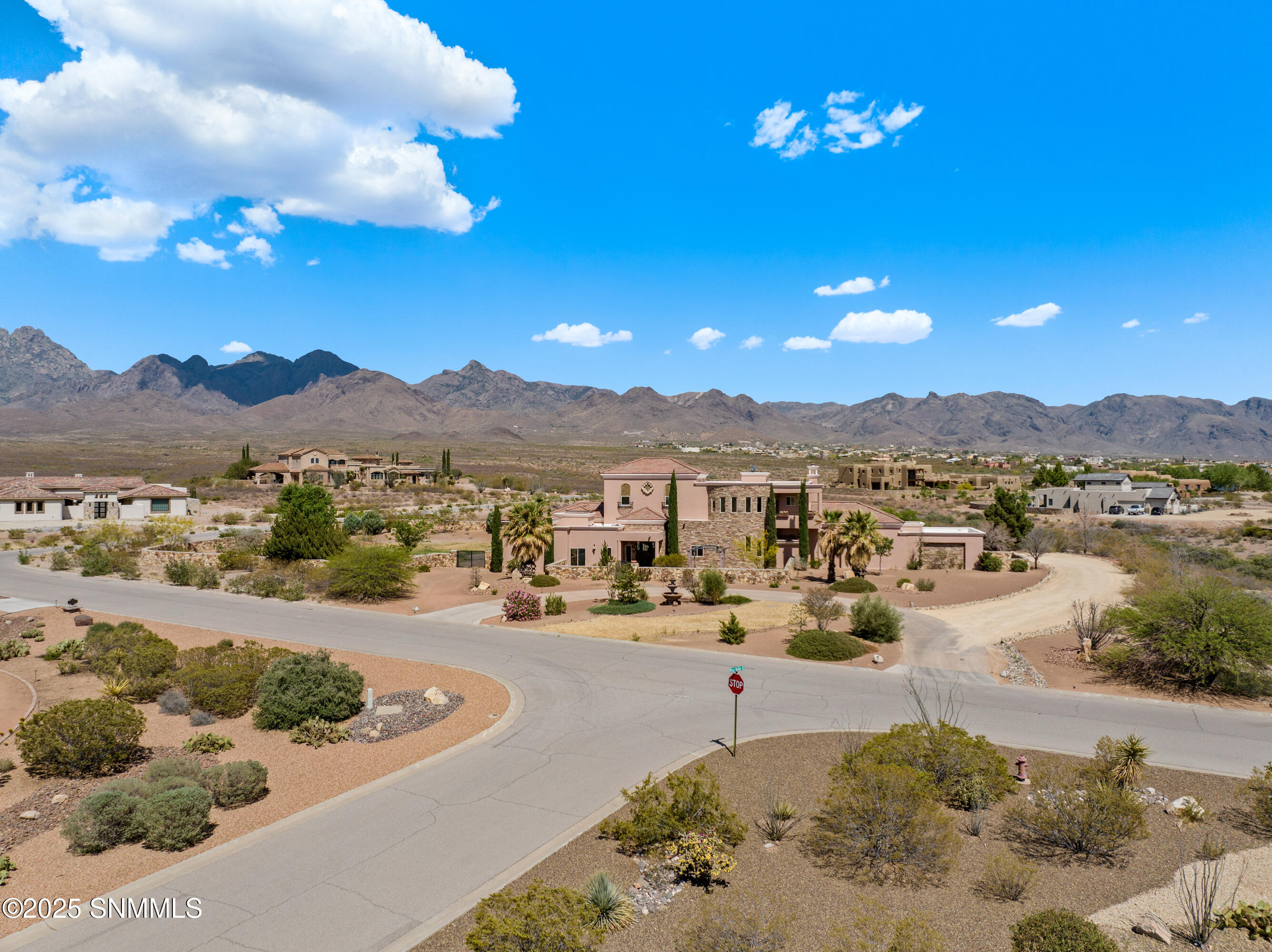 9770 Desert Mirage Drive Property Photo 83
