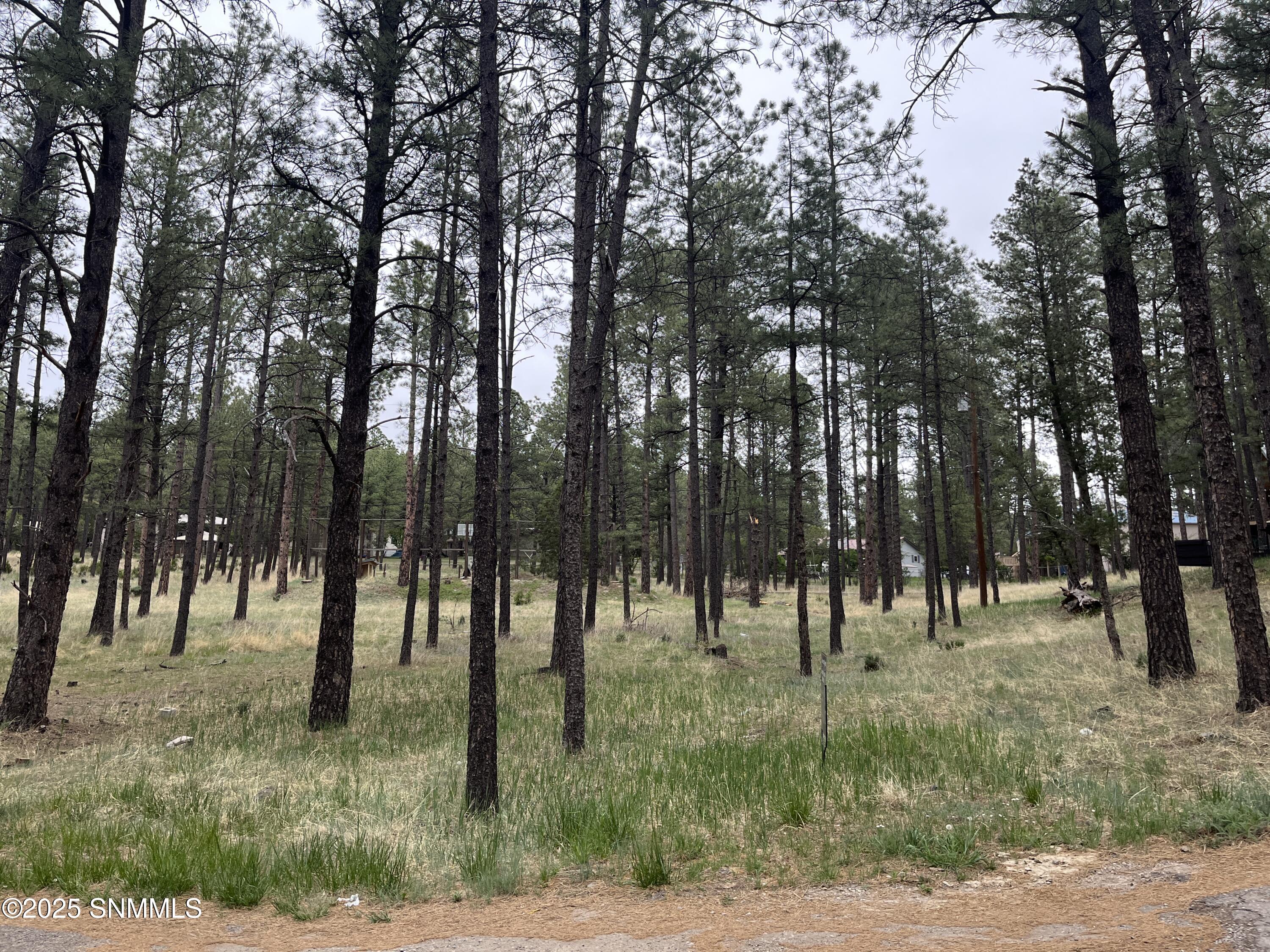 106 Jann Lane Property Photo 3