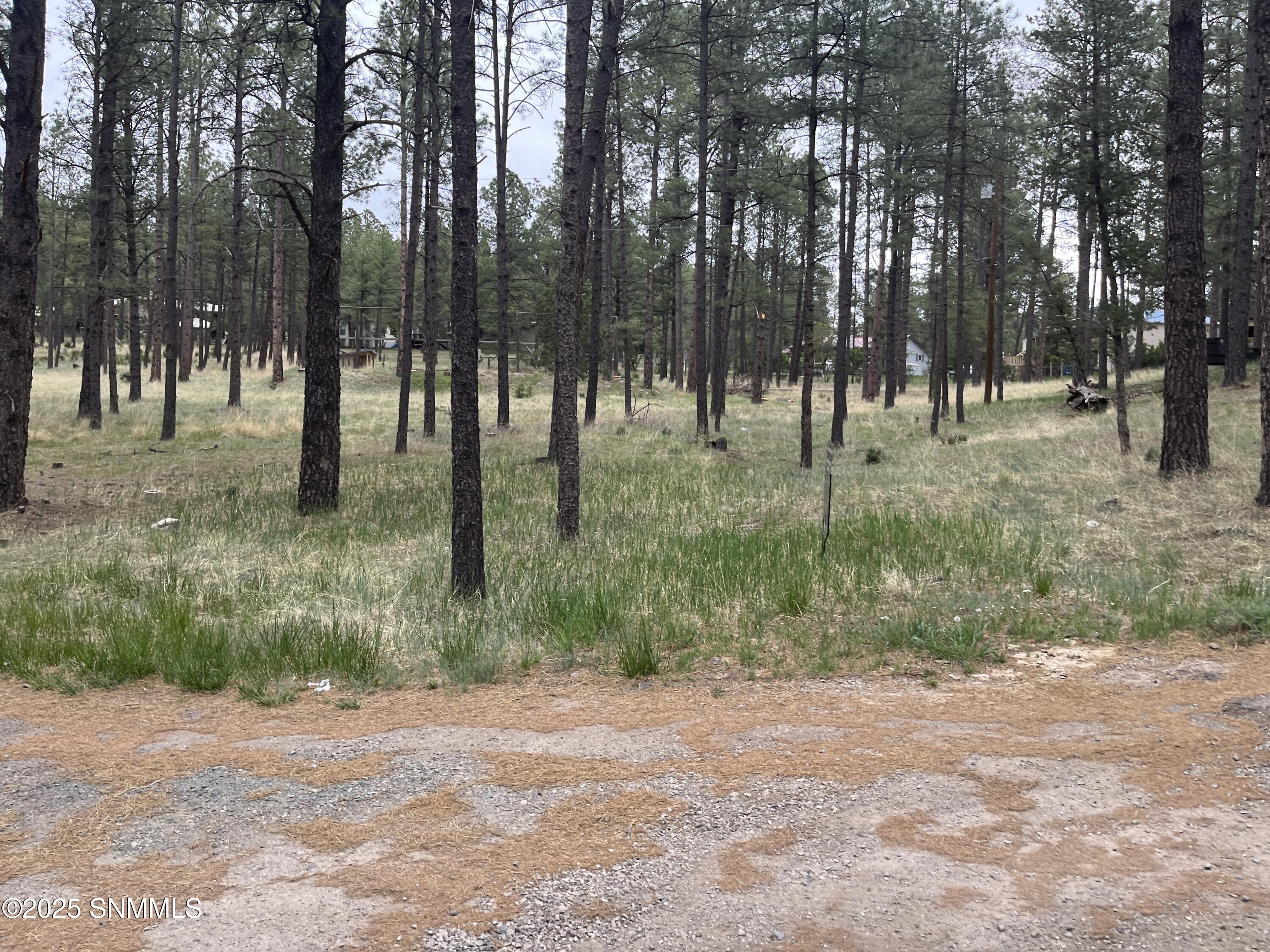 106 Jann Lane Property Photo 5