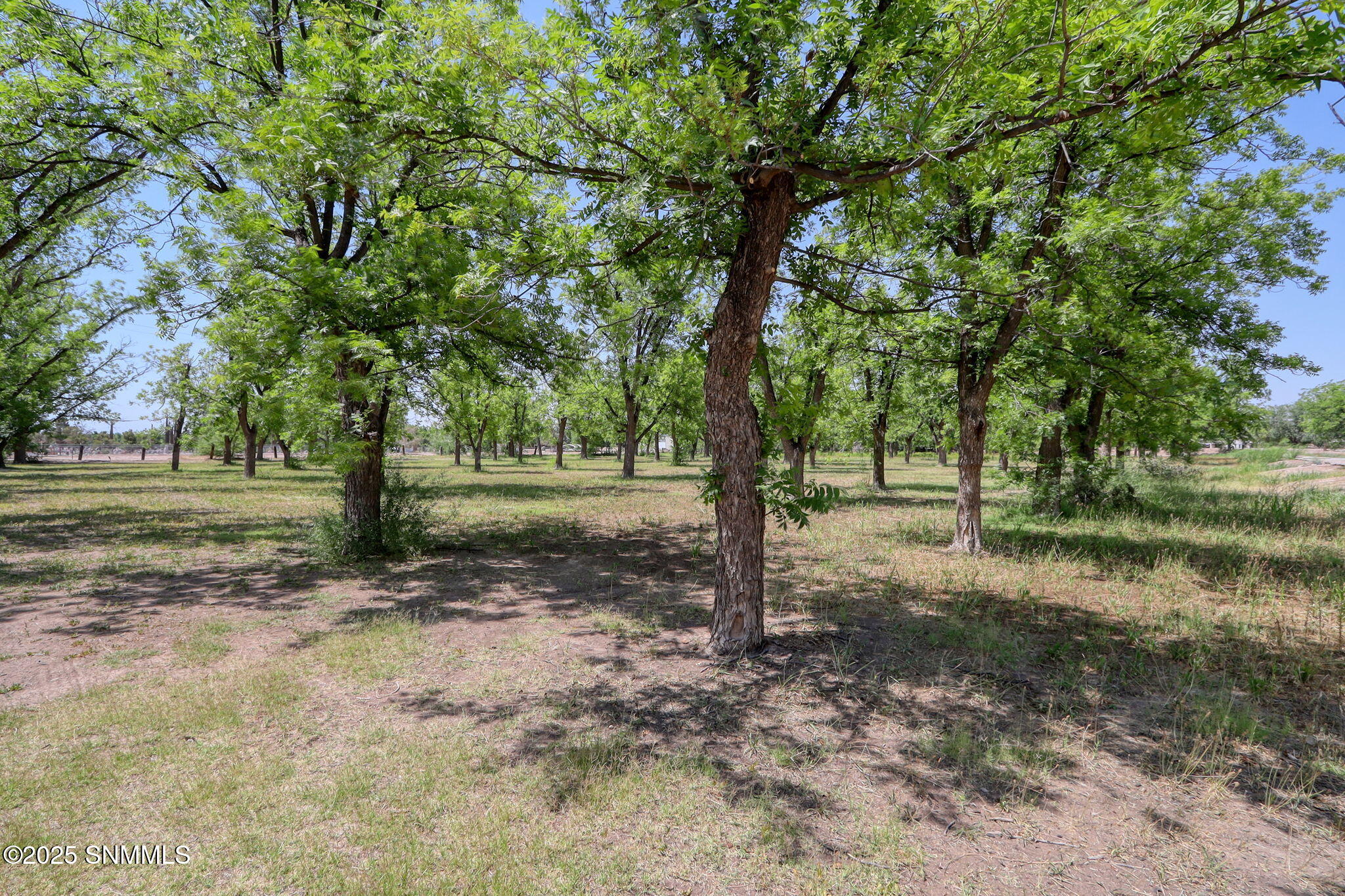 3000 Calle De Guadalupe Property Photo 1
