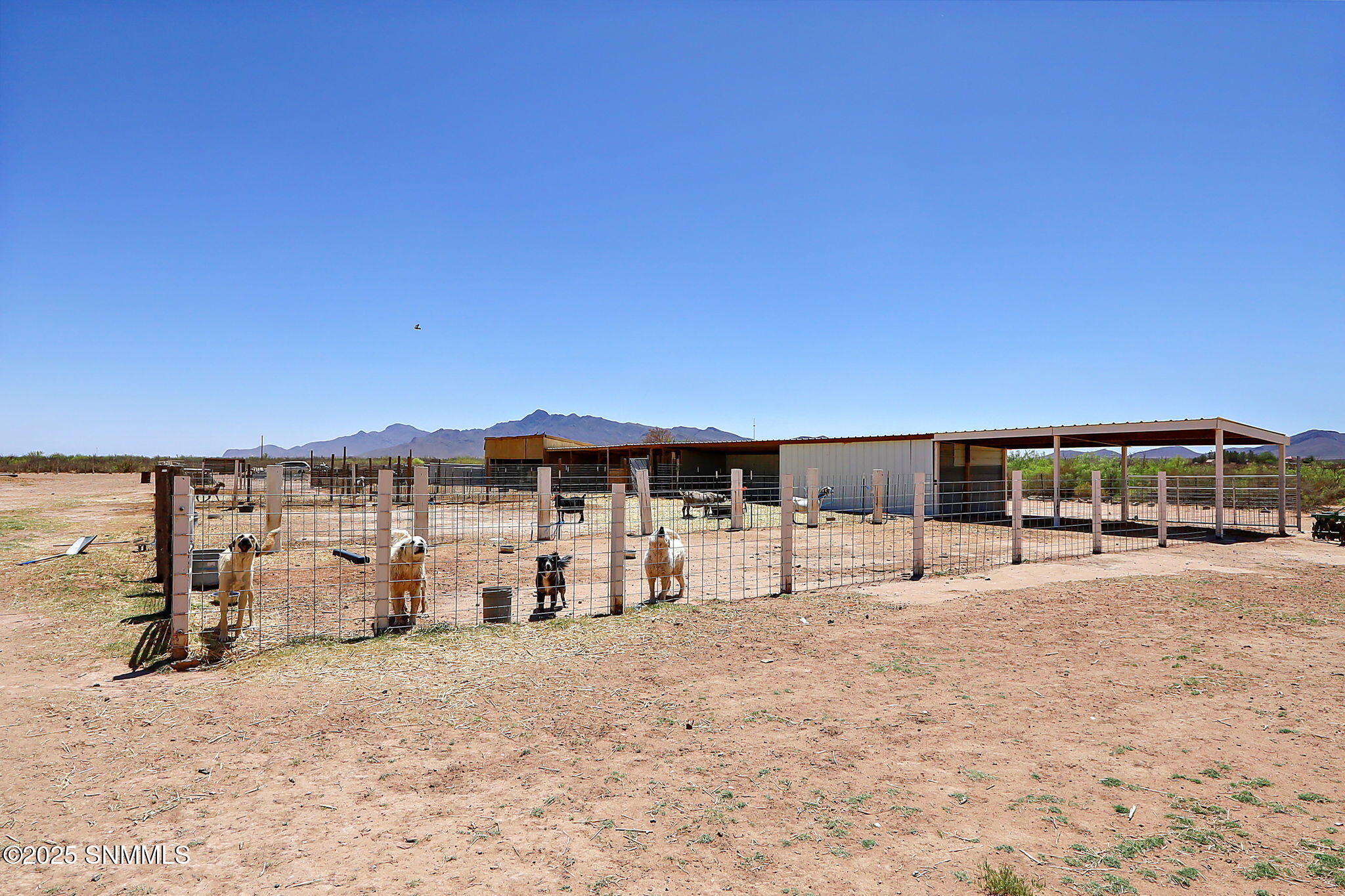 1209 Hueco Street Property Photo 45