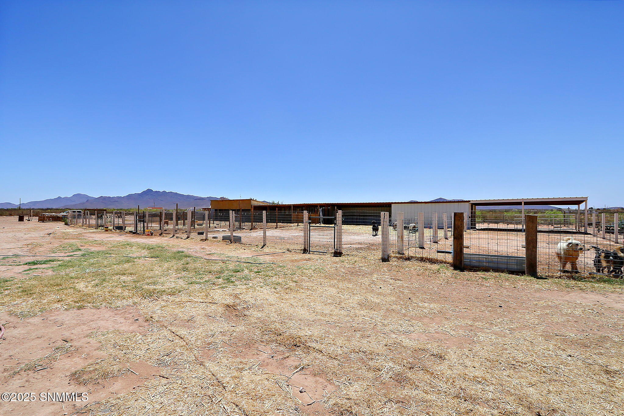 1209 Hueco Street Property Photo 47