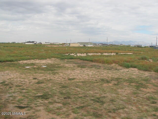 1413 Gobi Desert Drive Property Photo 14