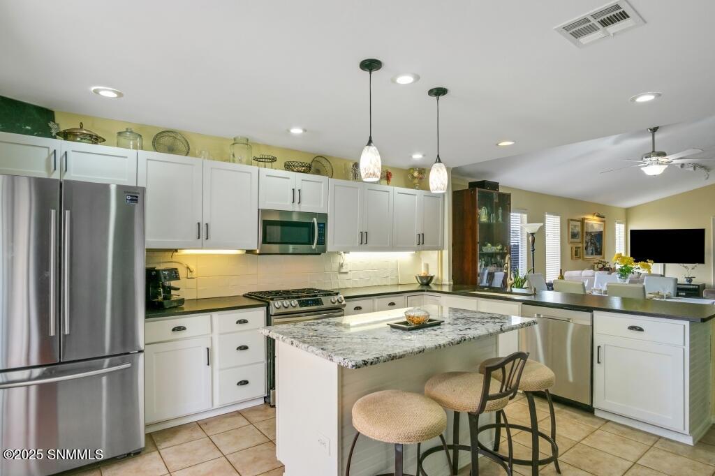 1215 Antelope Pass Drive Property Photo 4