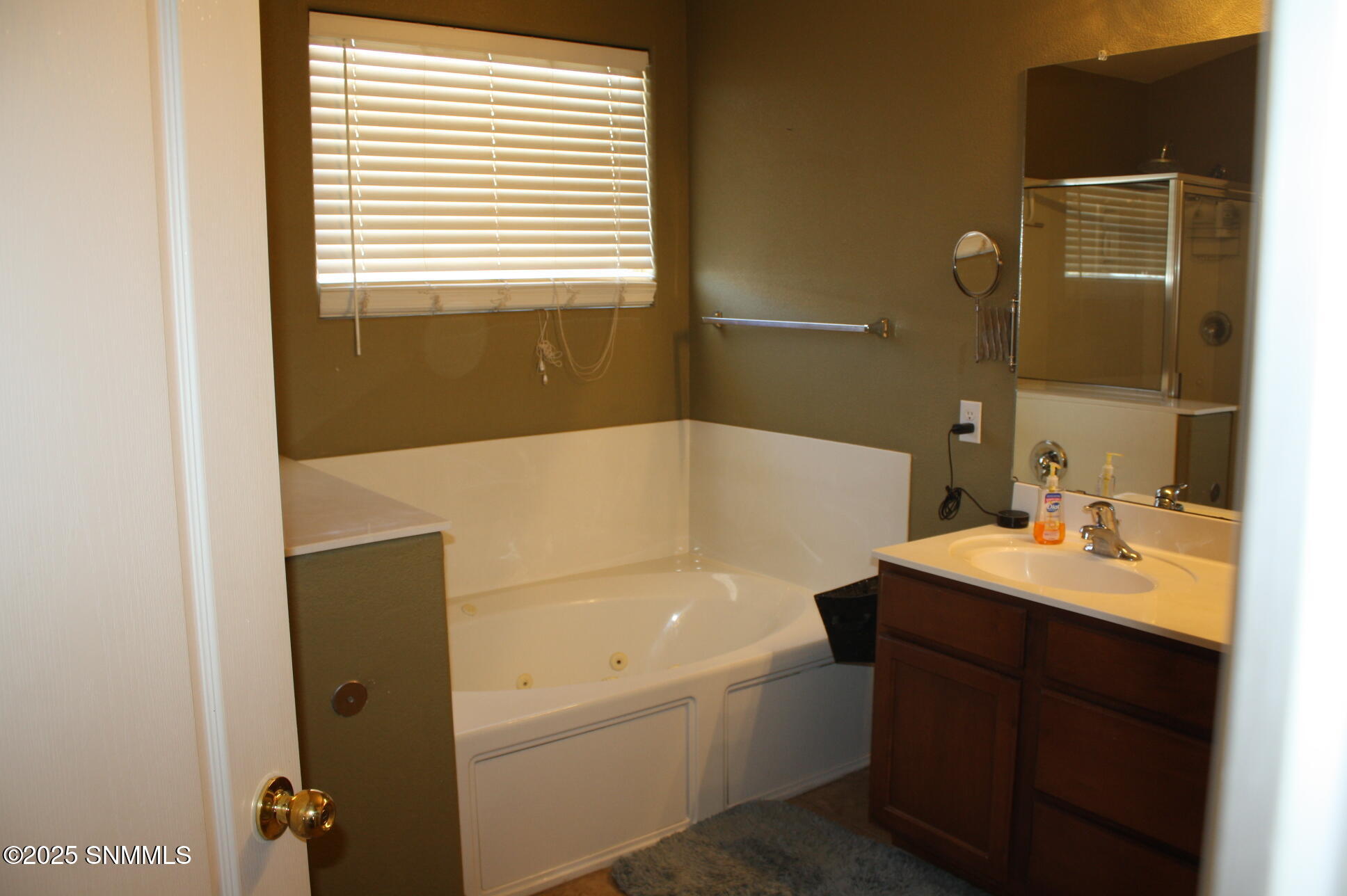 4373 Soda Springs Drive Property Photo 33