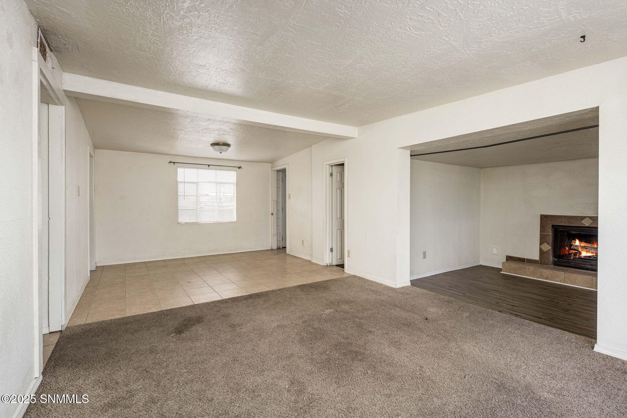1424 Thomas Drive Property Photo 5