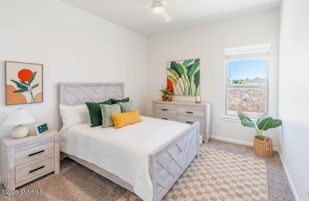 784 Basha Arc Property Photo 13