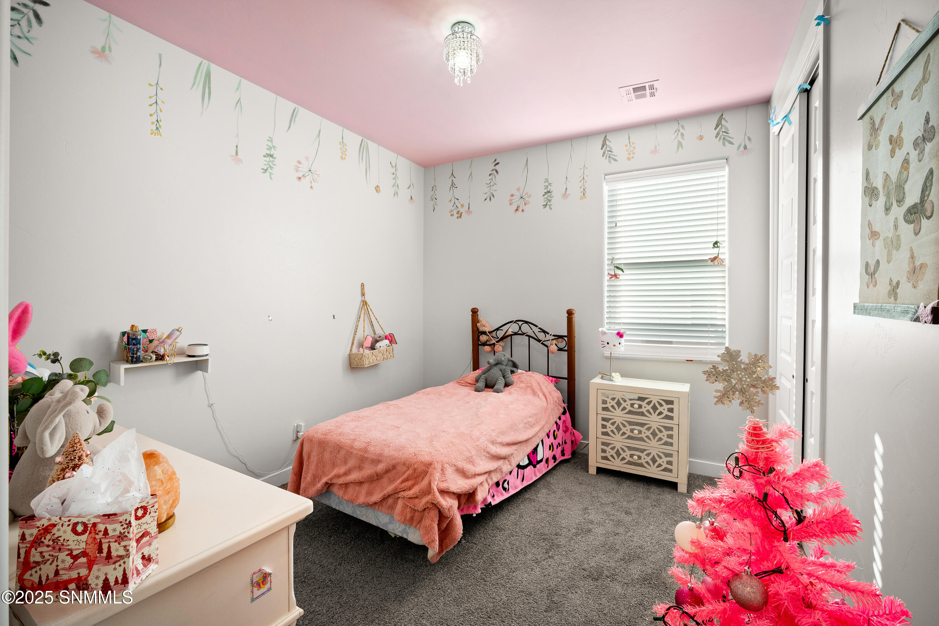 6233 Recoleta Road Property Photo 26