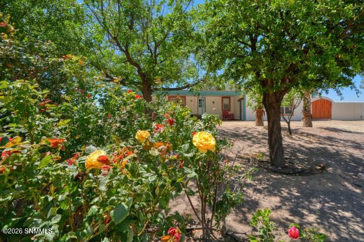 245 Hurt Road Property Photo 6