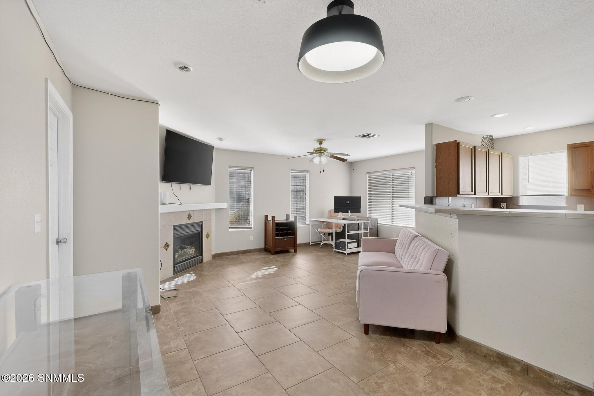 4601 Panther Peak Drive Property Photo 12