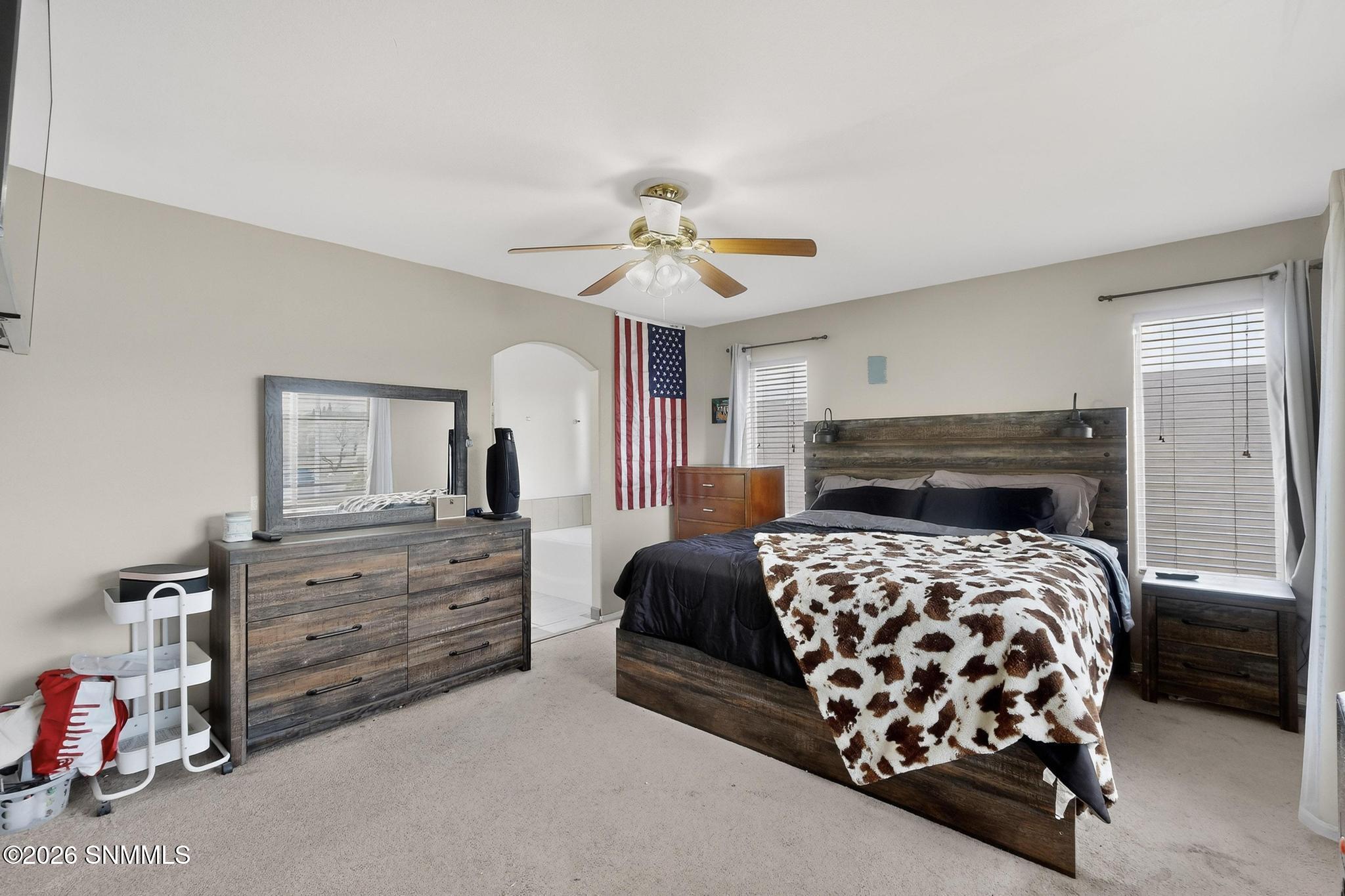 4601 Panther Peak Drive Property Photo 19
