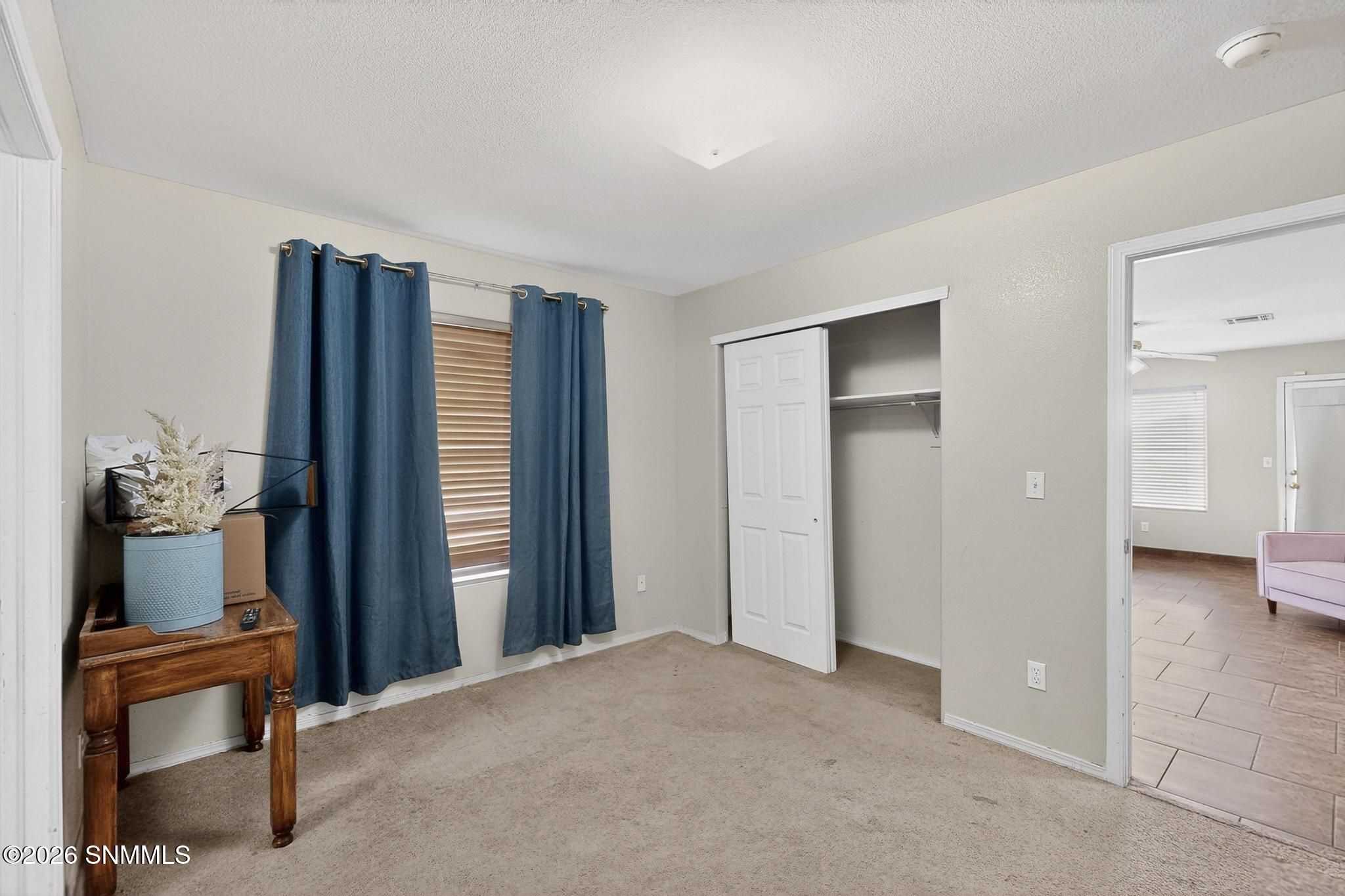 4601 Panther Peak Drive Property Photo 25