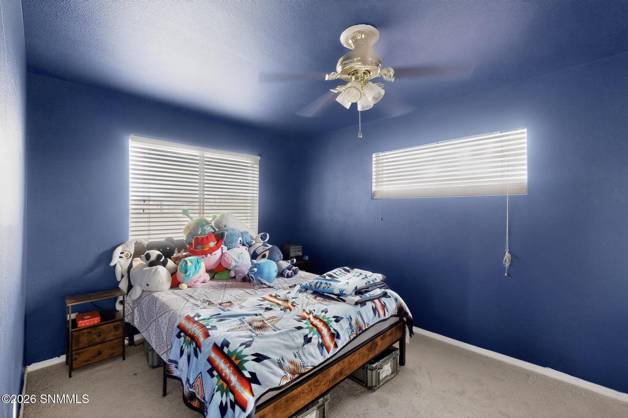 4601 Panther Peak Drive Property Photo 27