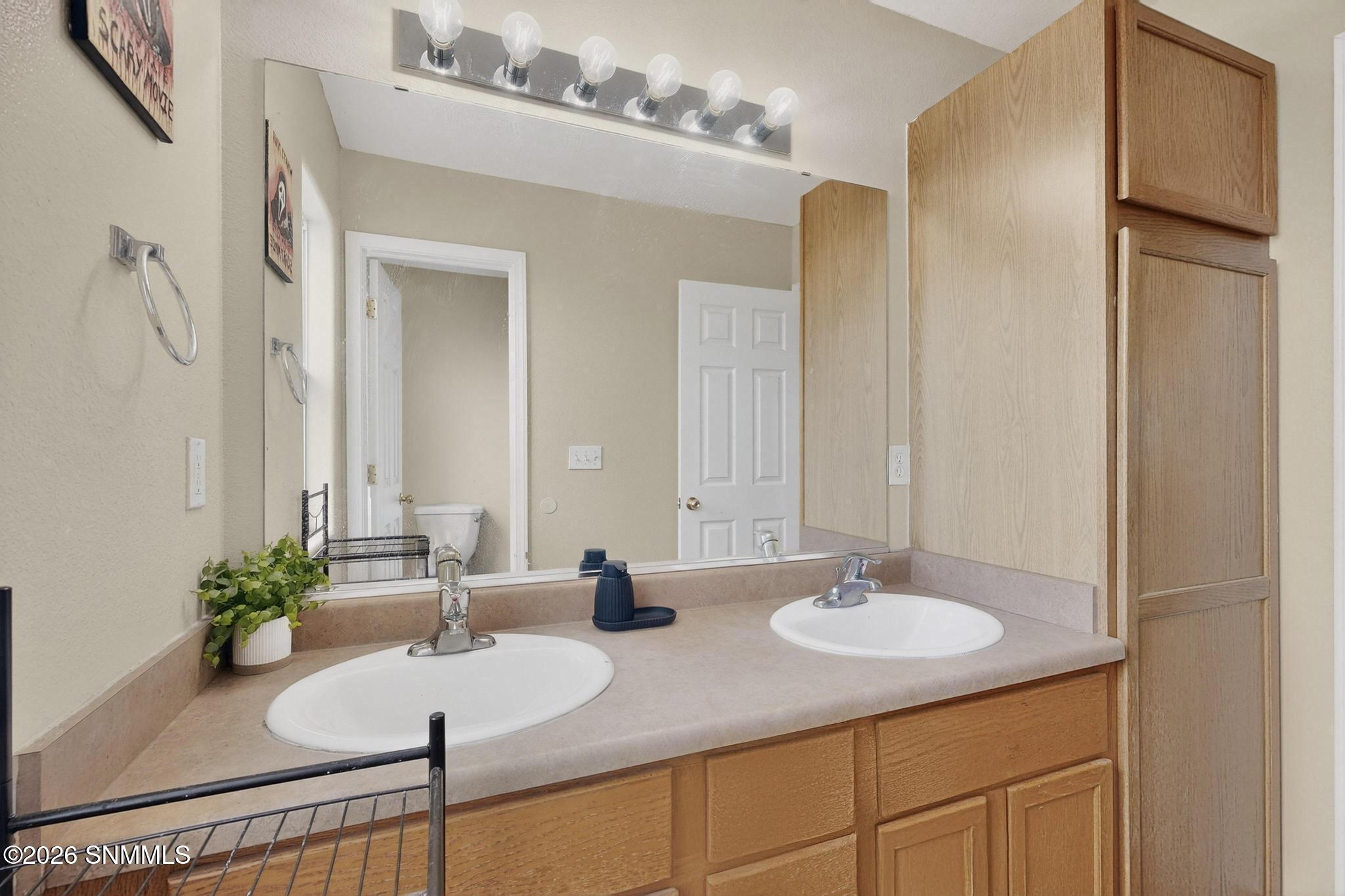 4601 Panther Peak Drive Property Photo 29