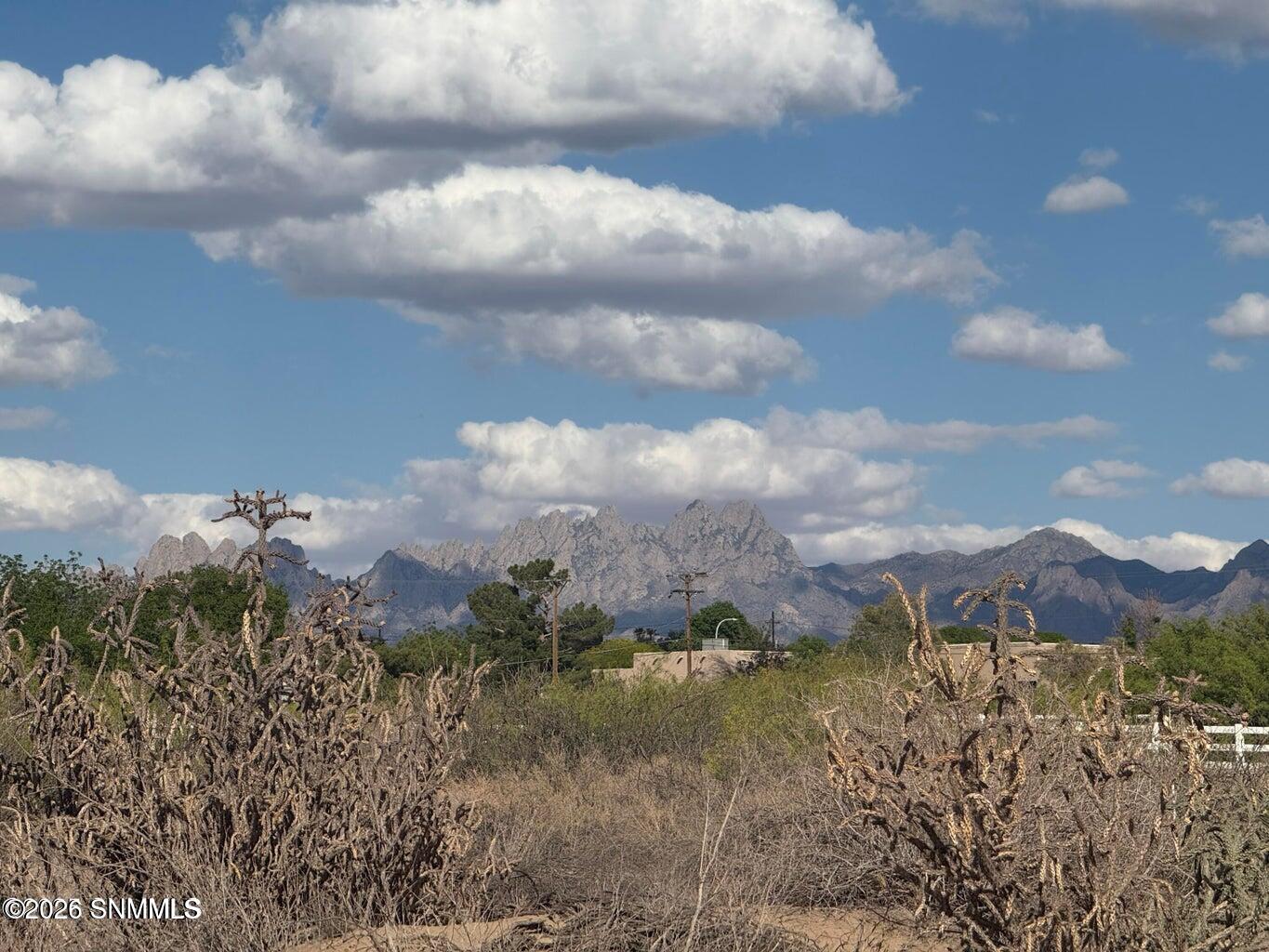 Tbd Holliday Property Photo 1