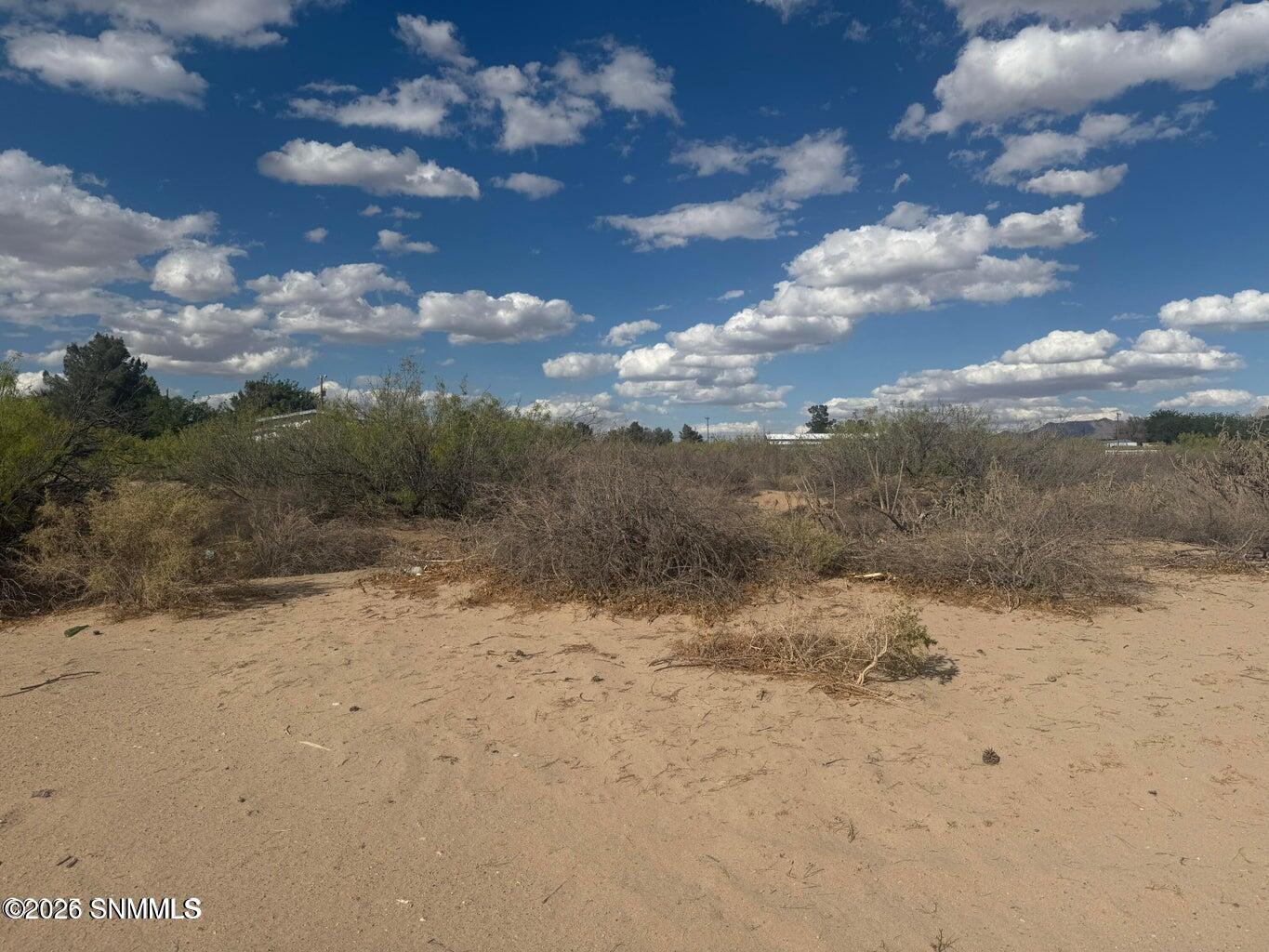 Tbd Holliday Property Photo 3