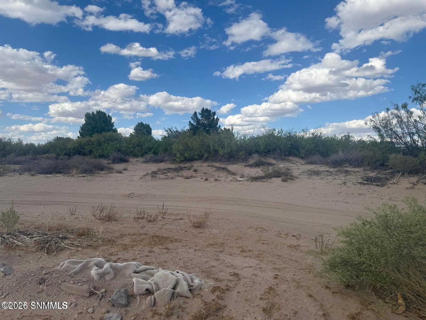 Tbd Holliday Property Photo 4