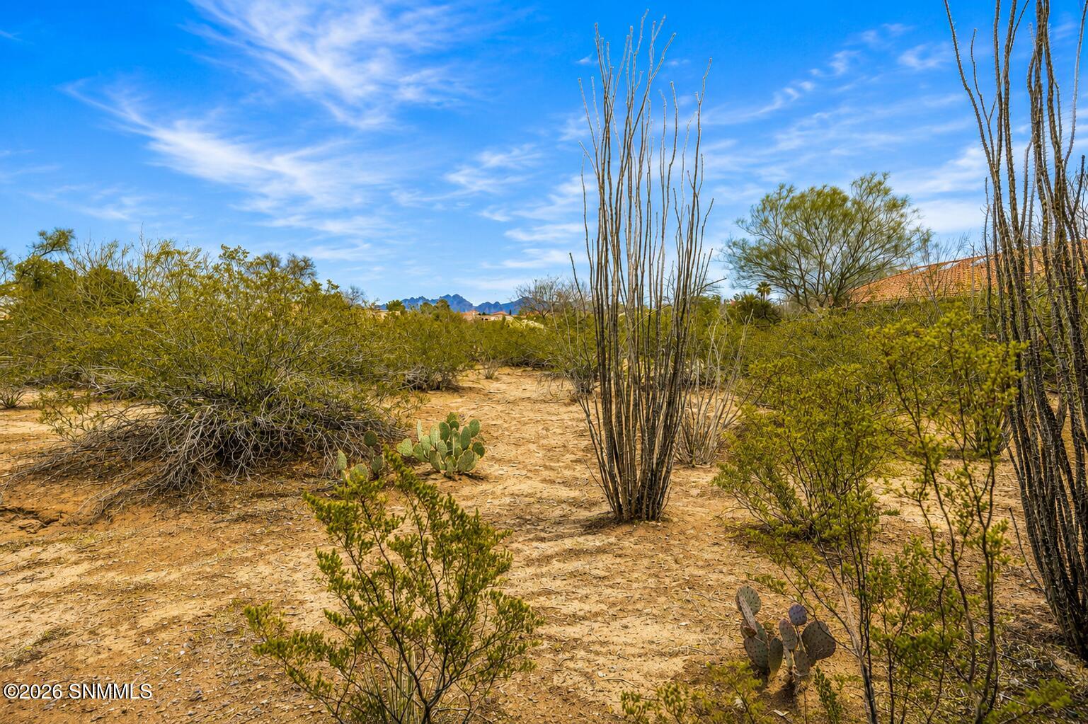 4300 Diamondback Drive Property Photo 46