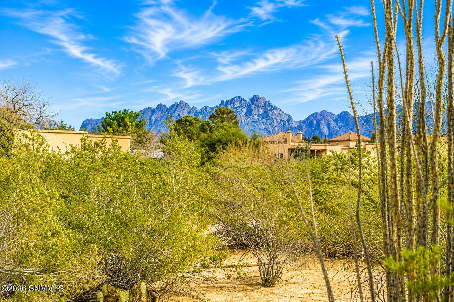 4300 Diamondback Drive Property Photo 49