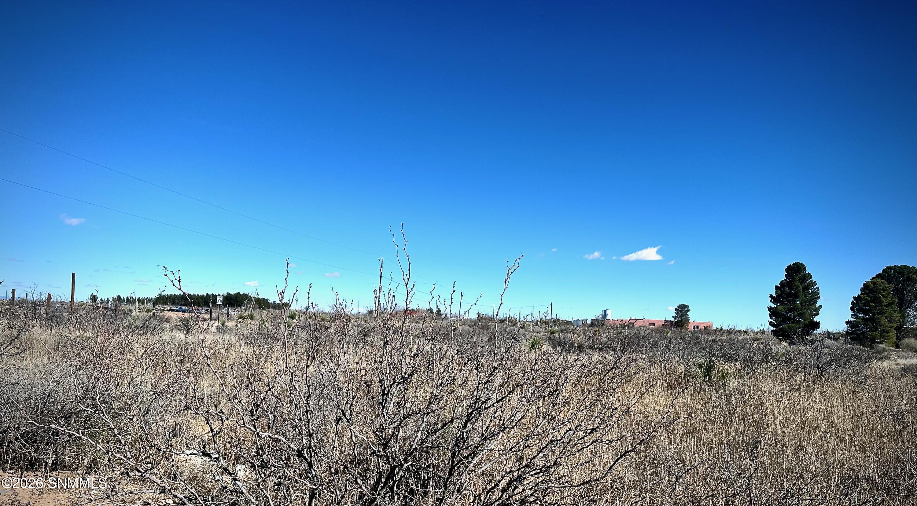1955 Hot Peppers Road Property Photo 5