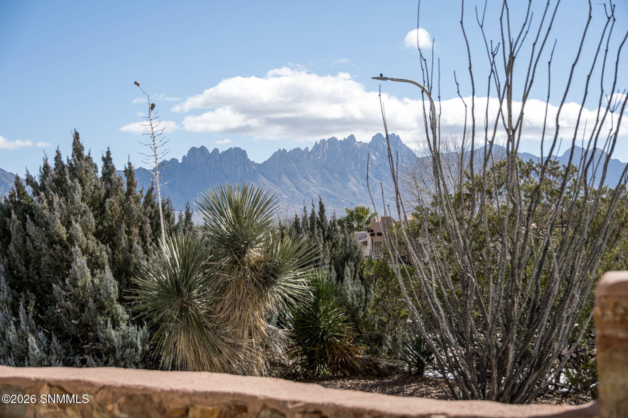 4250 Salvia Loop Property Photo 6