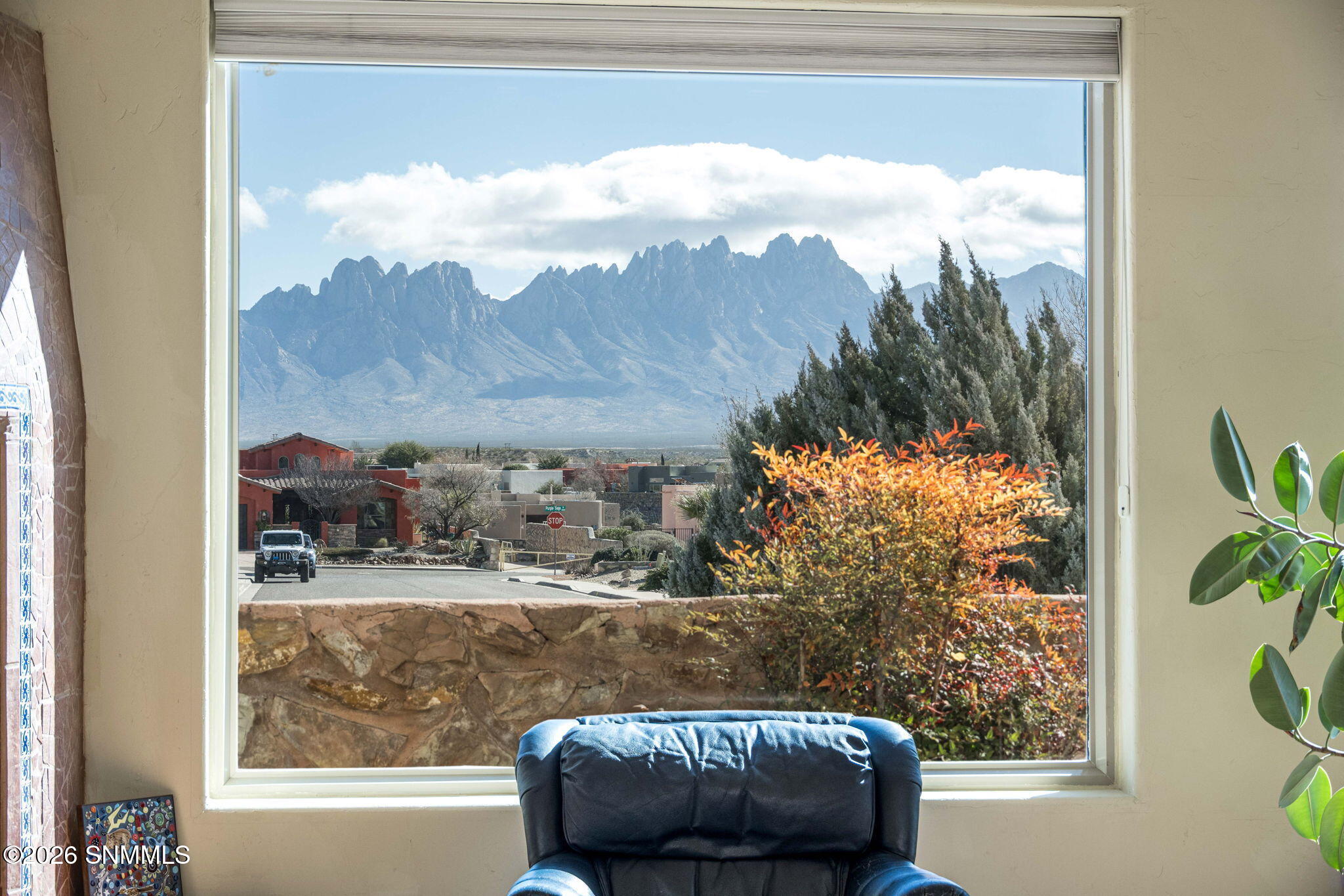 4250 Salvia Loop Property Photo 16