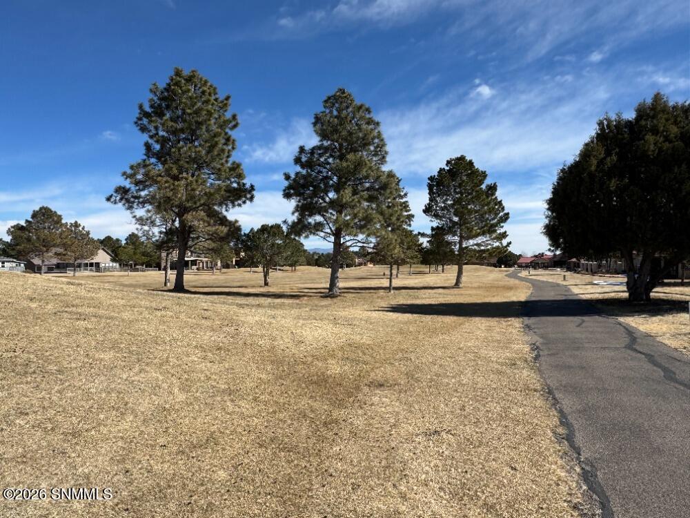 809 High Mesa Road Property Photo 22