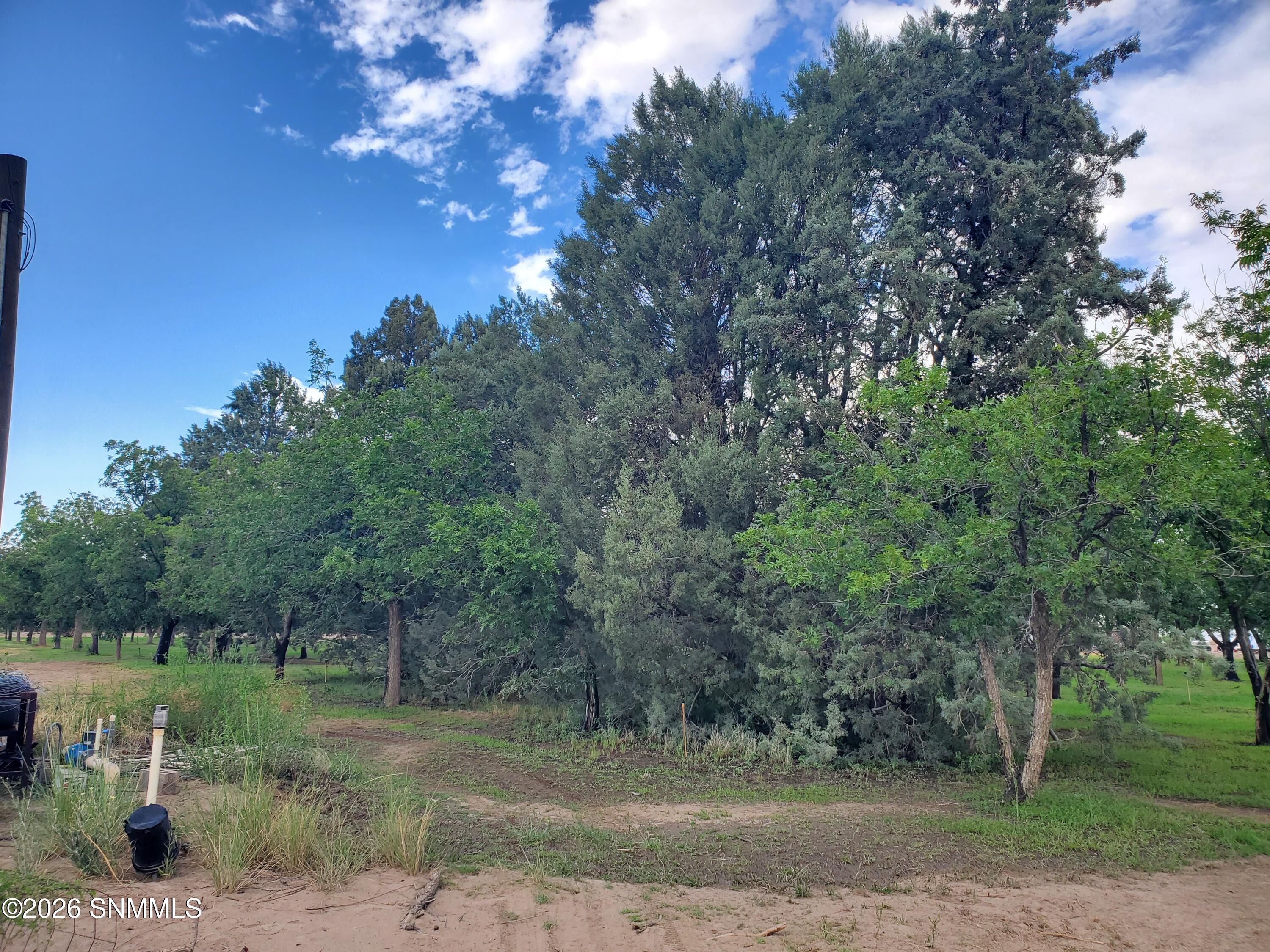 3610 Sparrow Road Property Photo 2