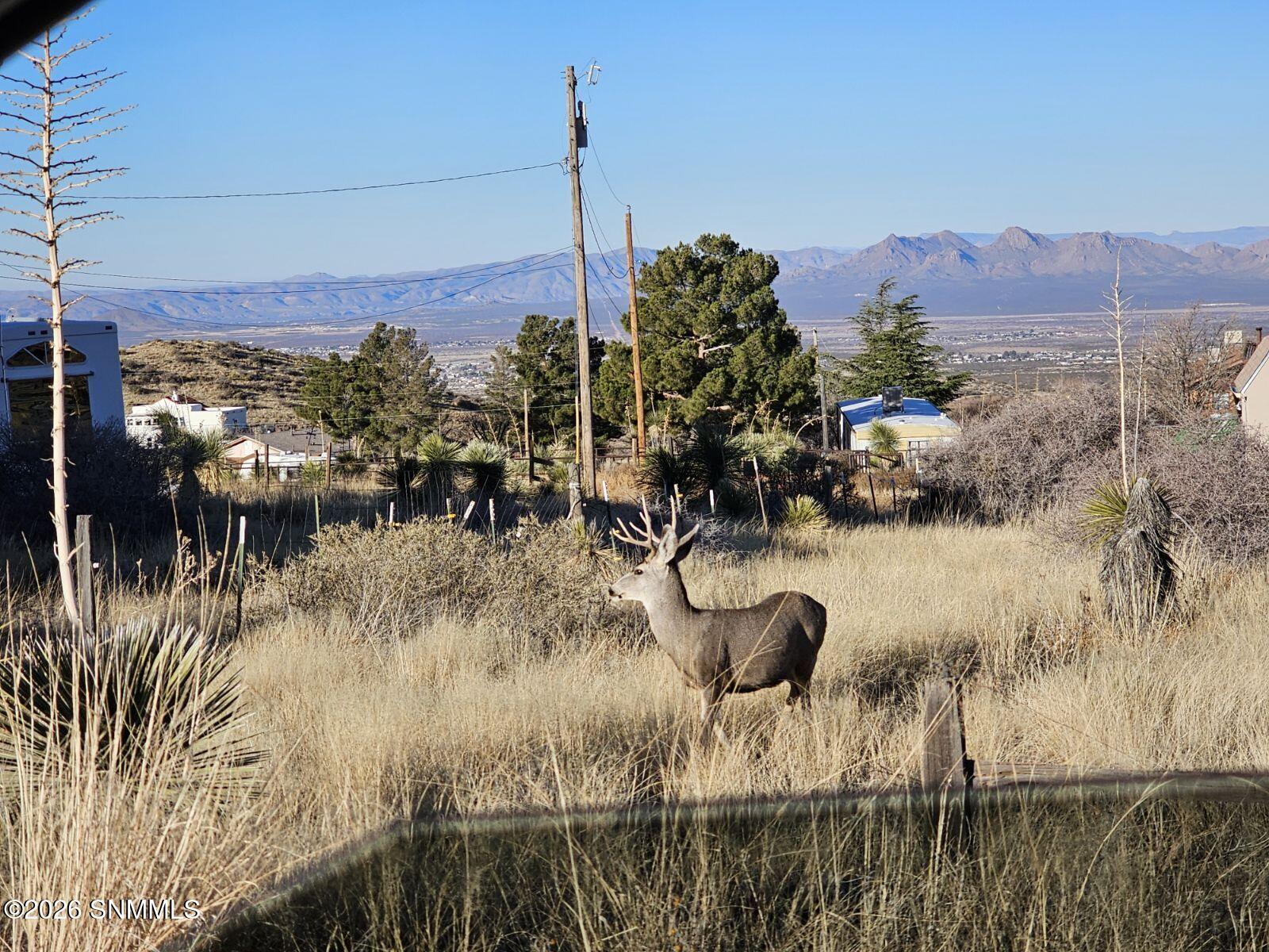 17610 Tierra Alta Road Property Photo 39