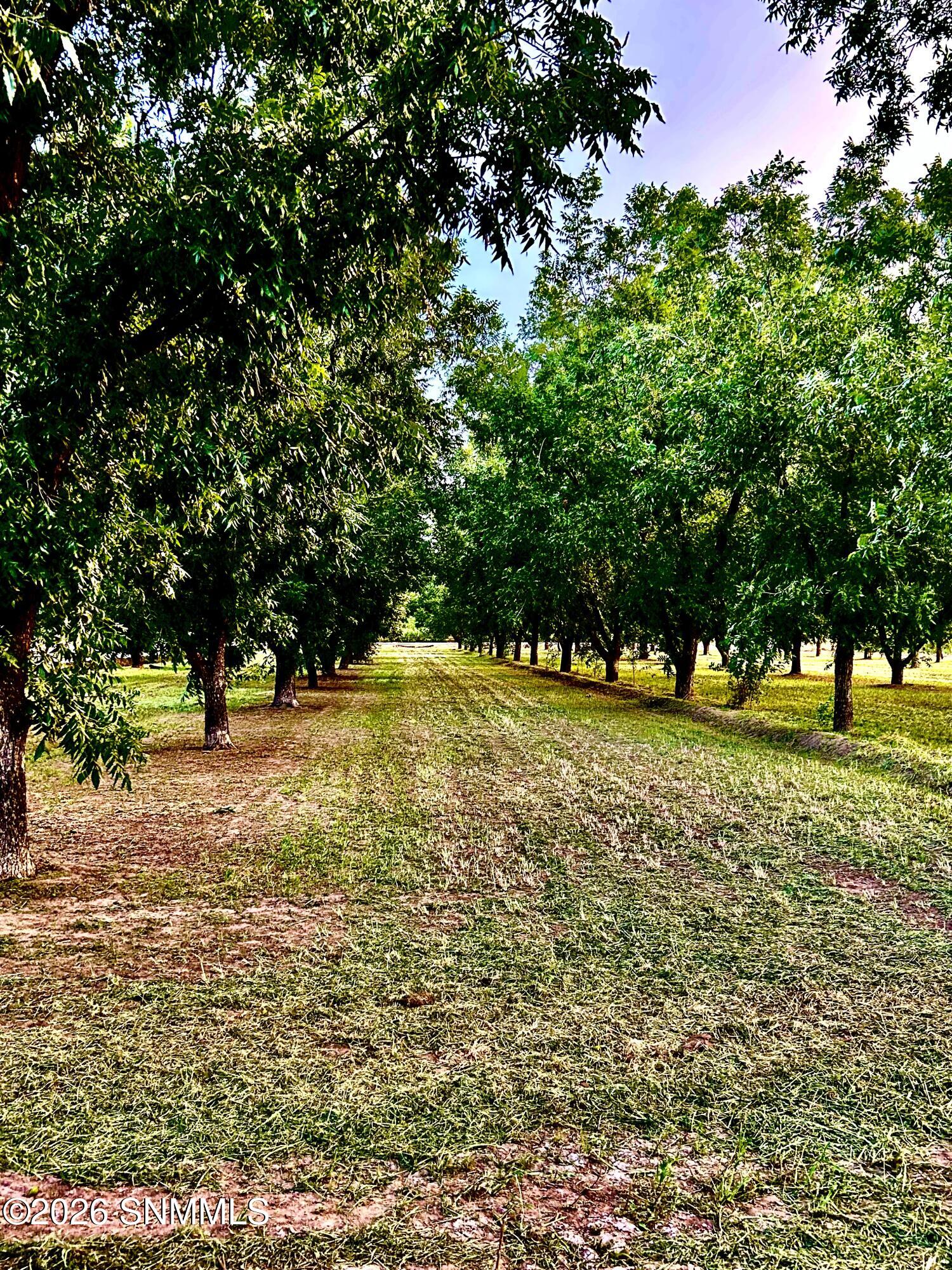3070 Estrada Road Property Photo 68