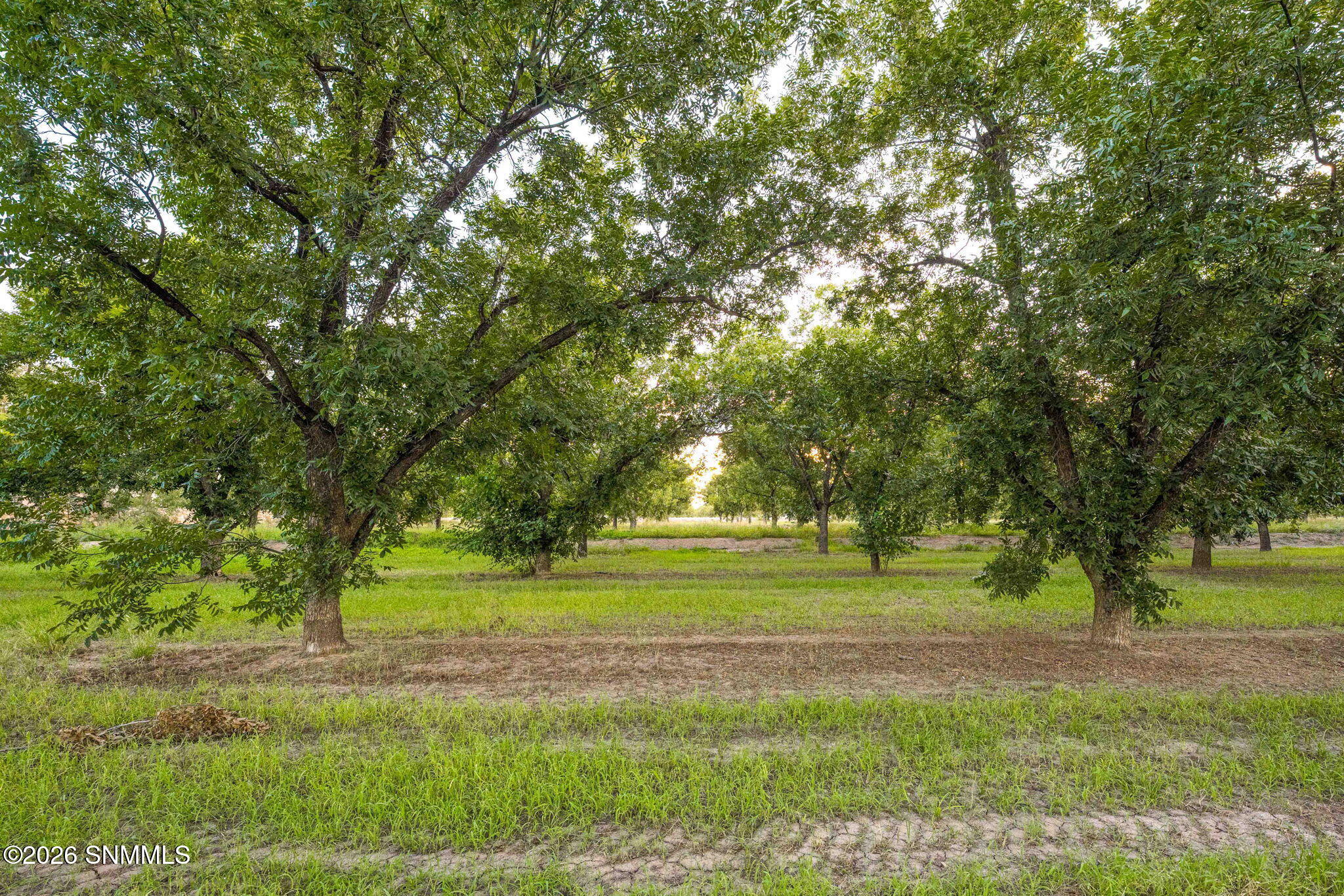 3070 Estrada Road Property Photo 82