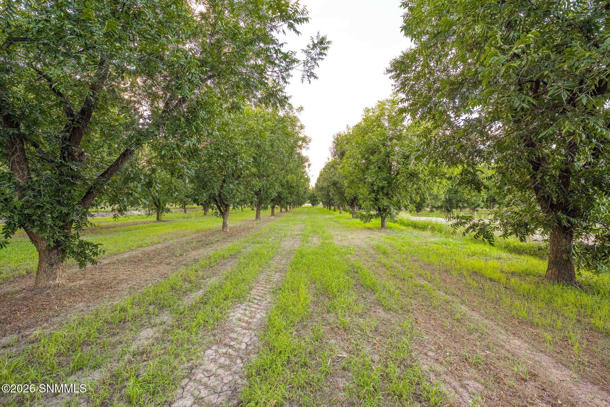 3070 Estrada Road Property Photo 83
