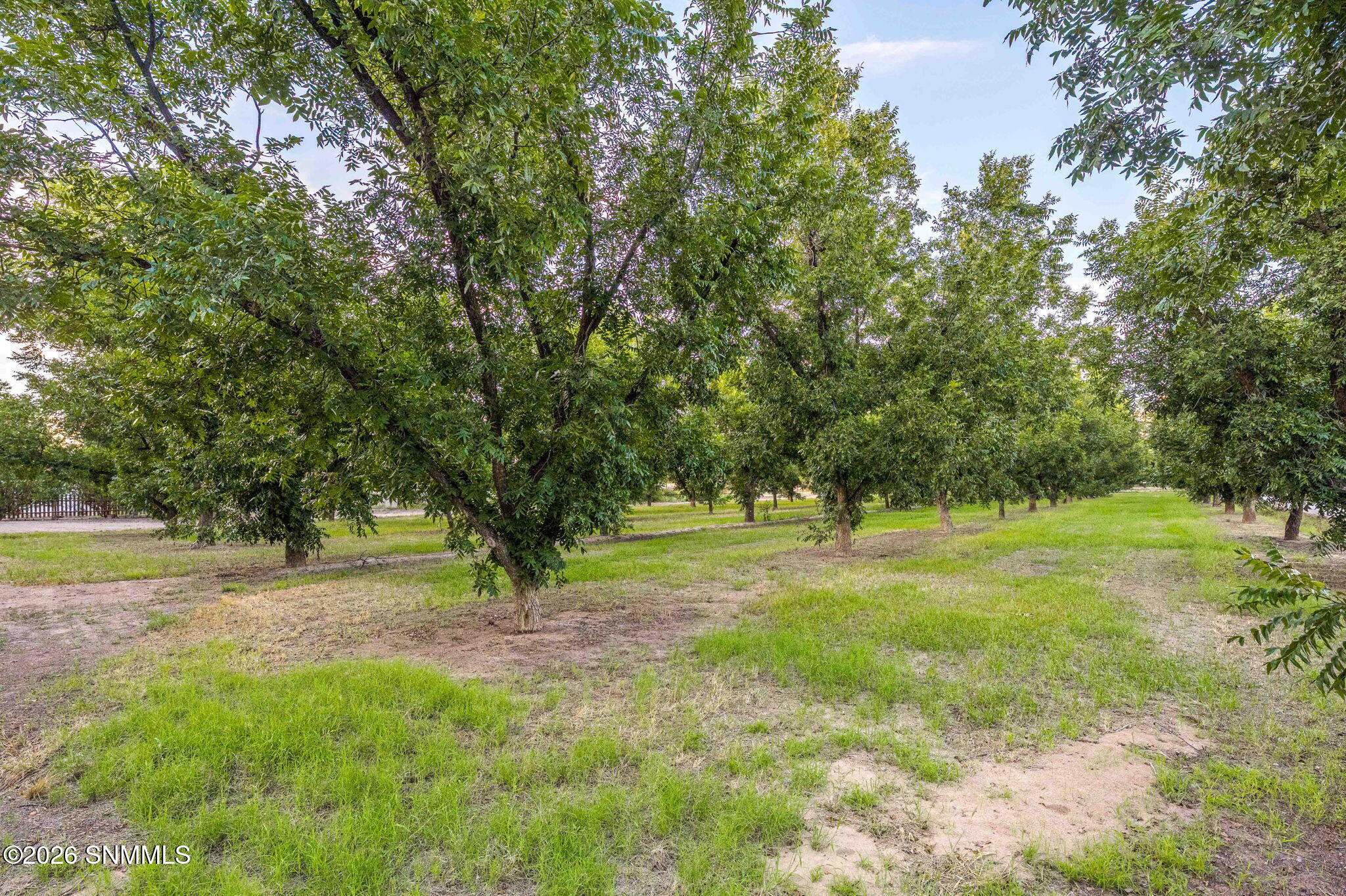 3070 Estrada Road Property Photo 86