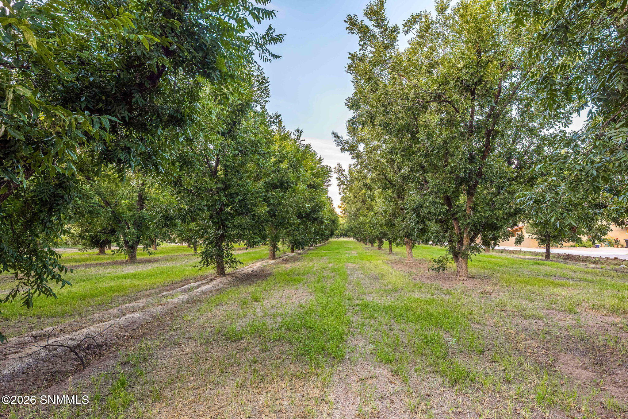 3070 Estrada Road Property Photo 87