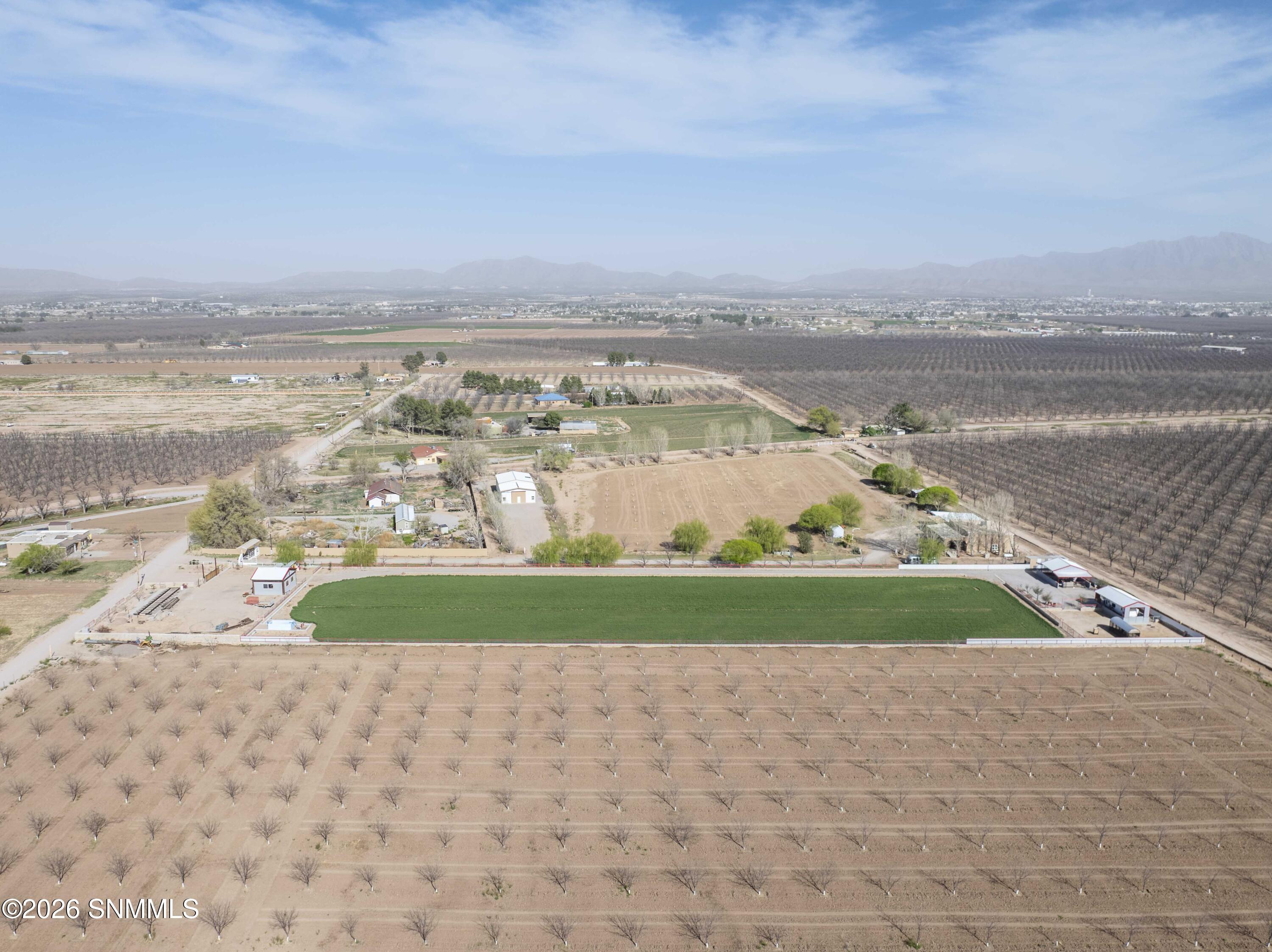 1405 Webb Road Property Photo 3