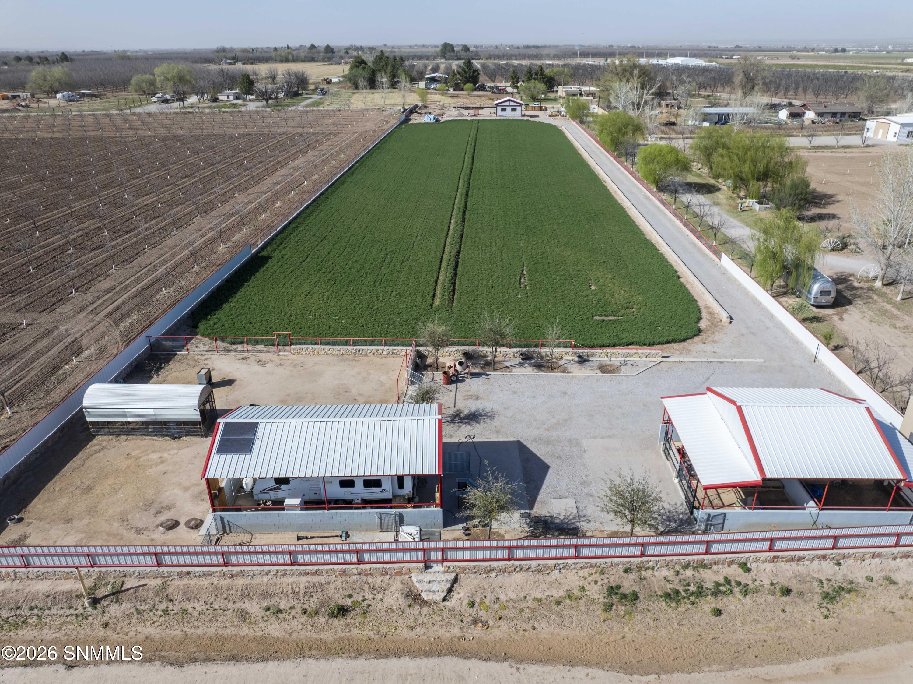 1405 Webb Road Property Photo 15